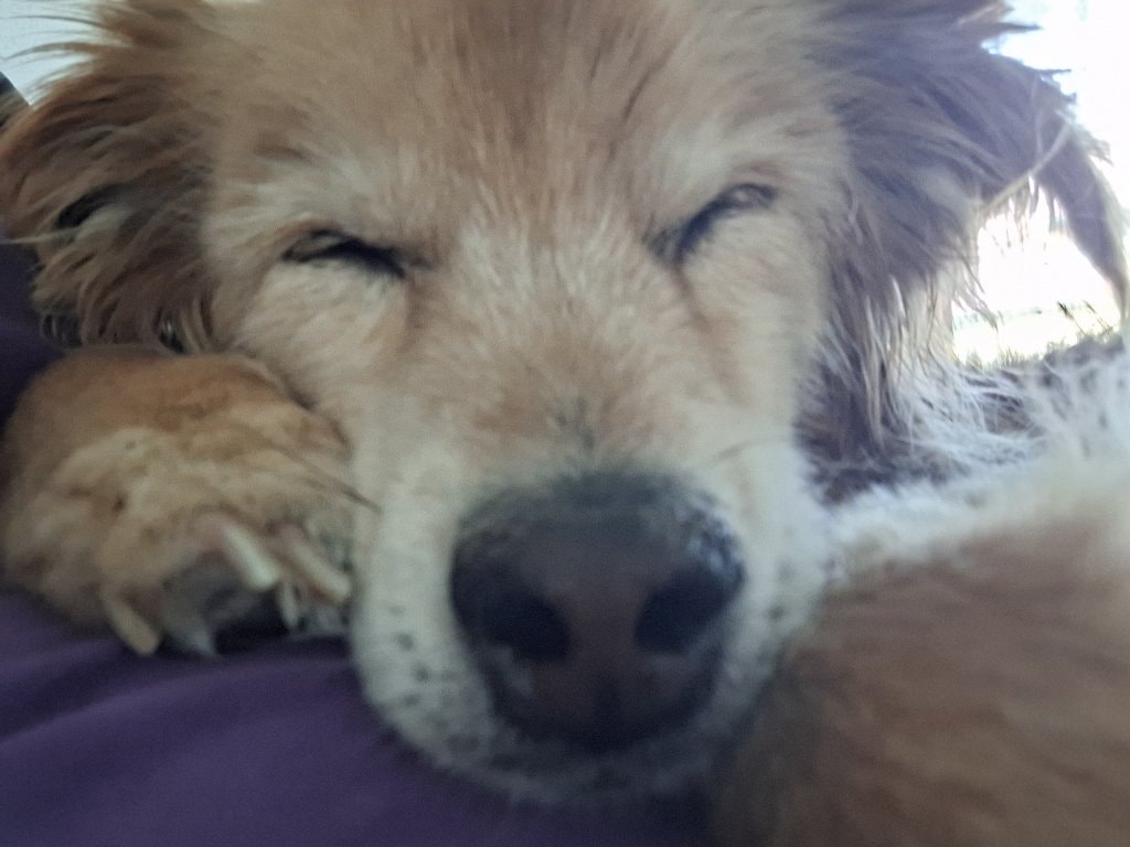 Charly