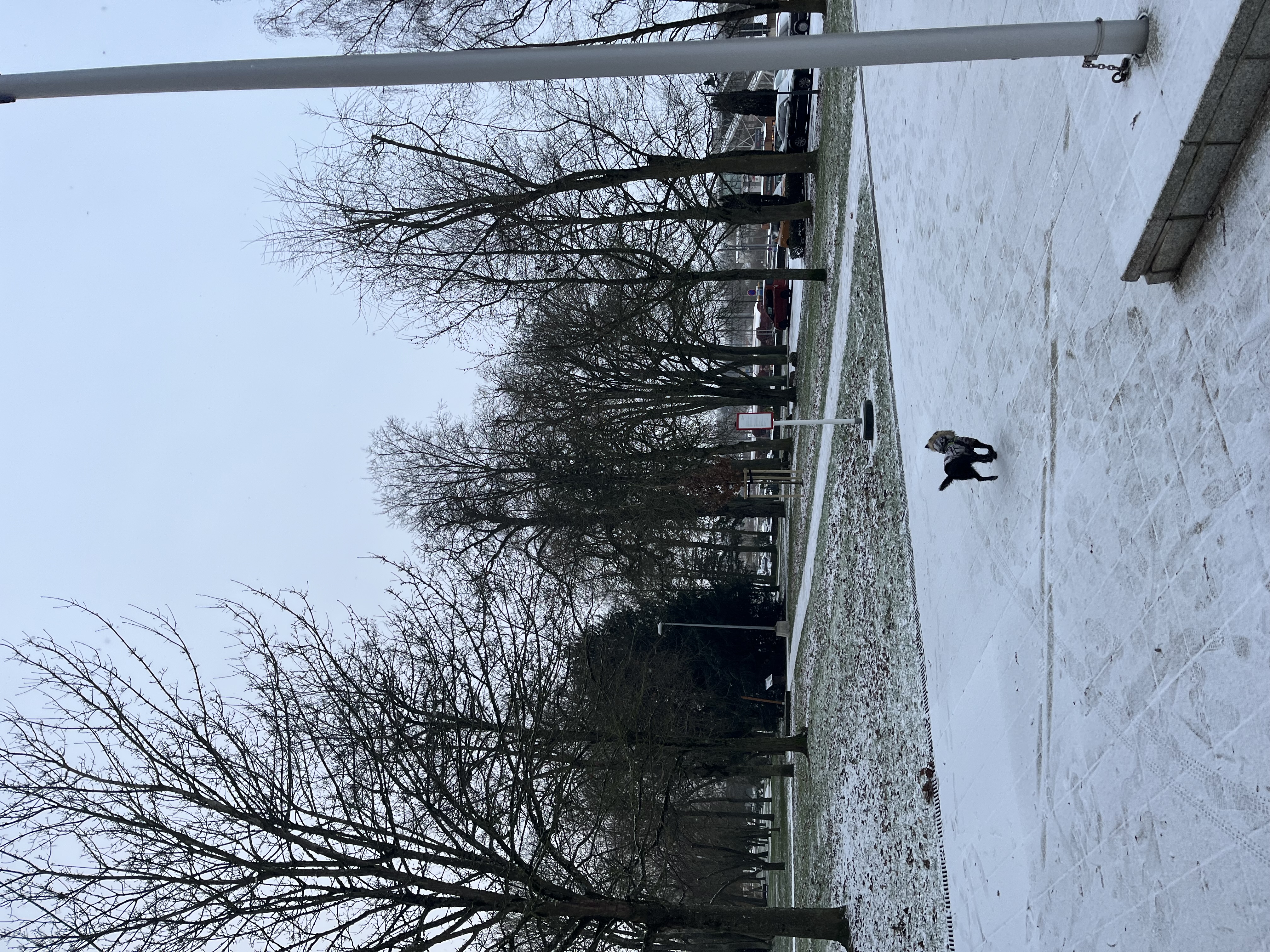 image-5