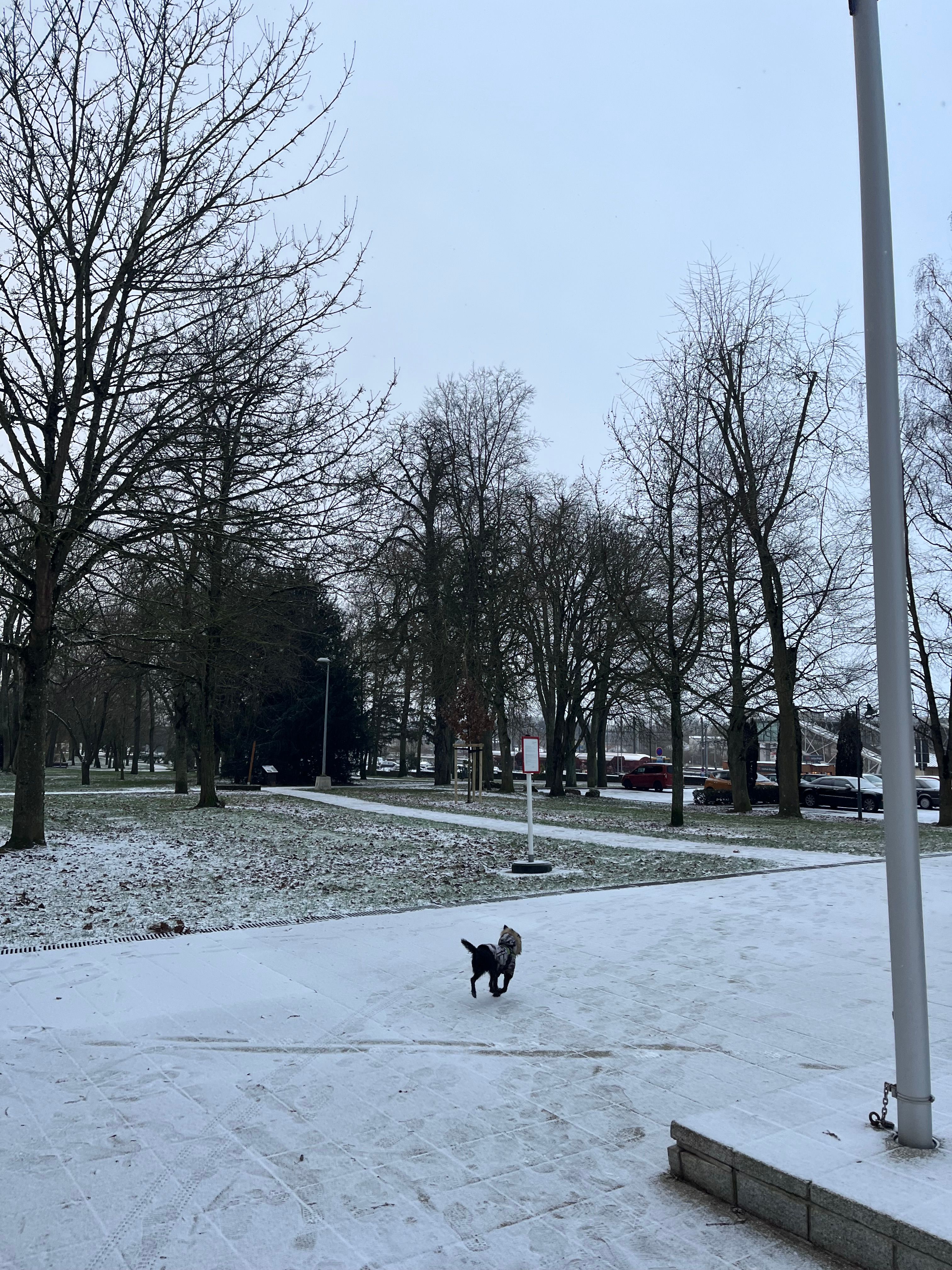 image-5