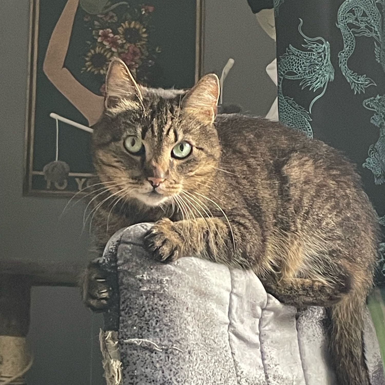 Mia