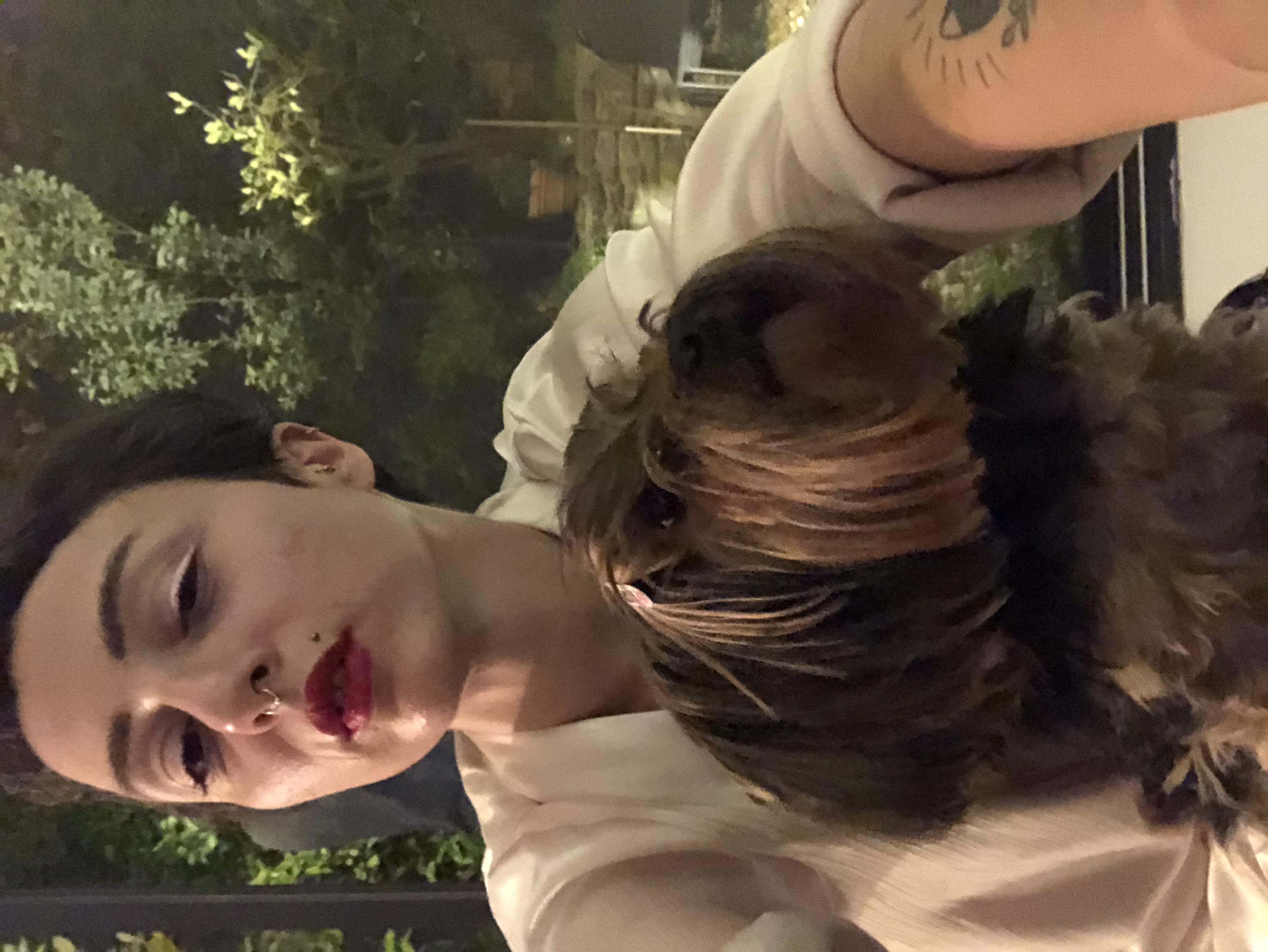 image-9