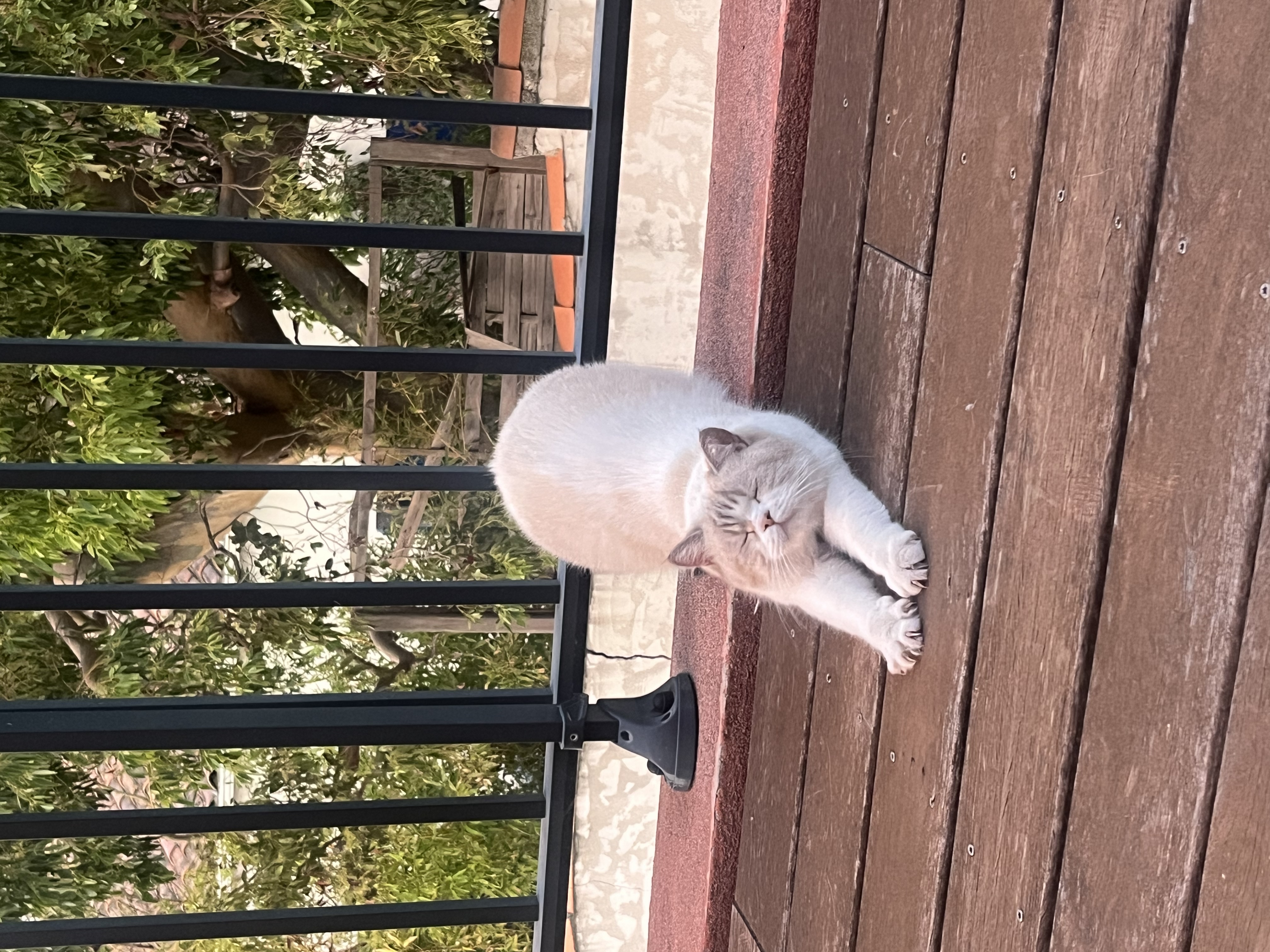 image-7