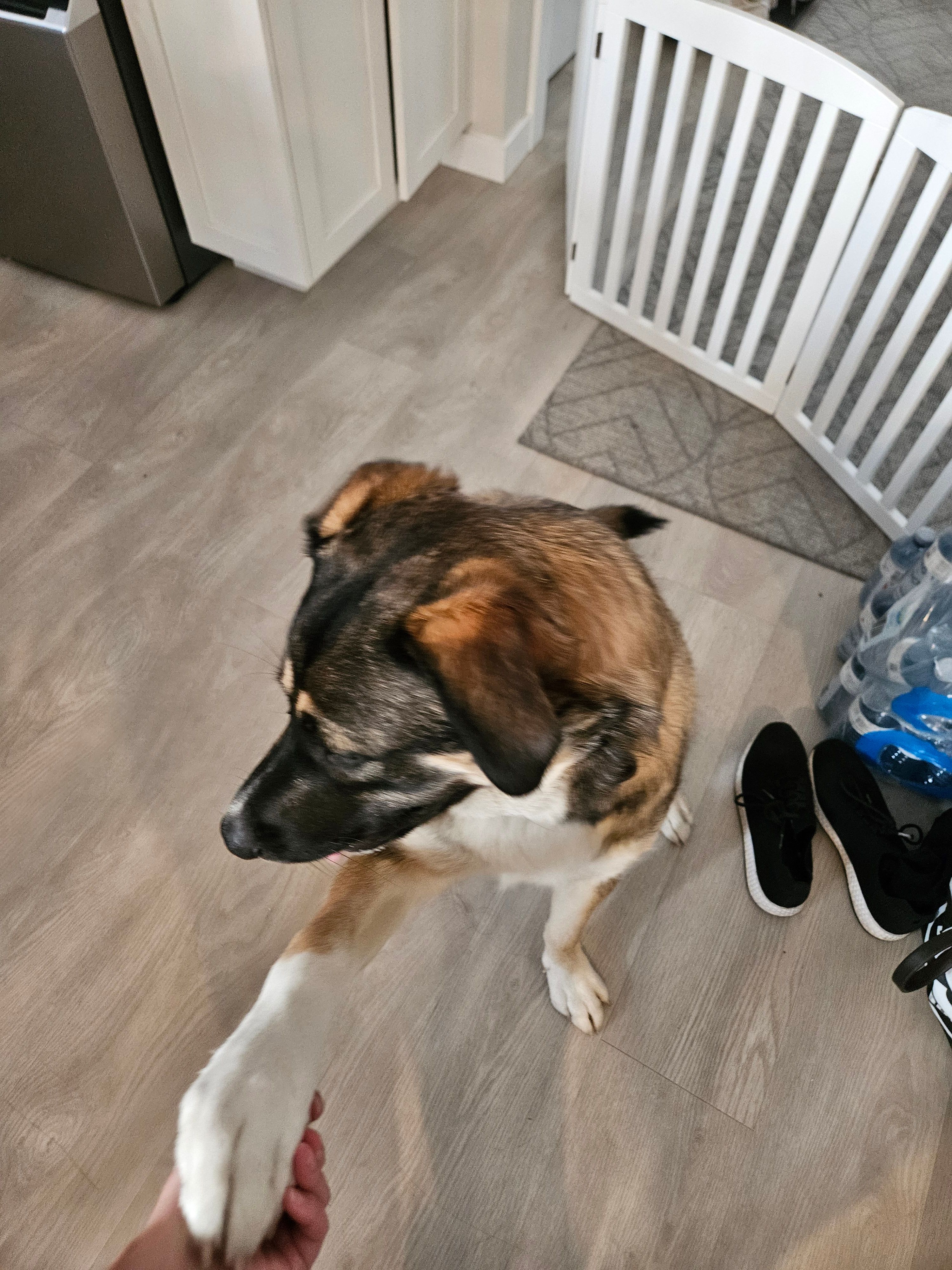image-7