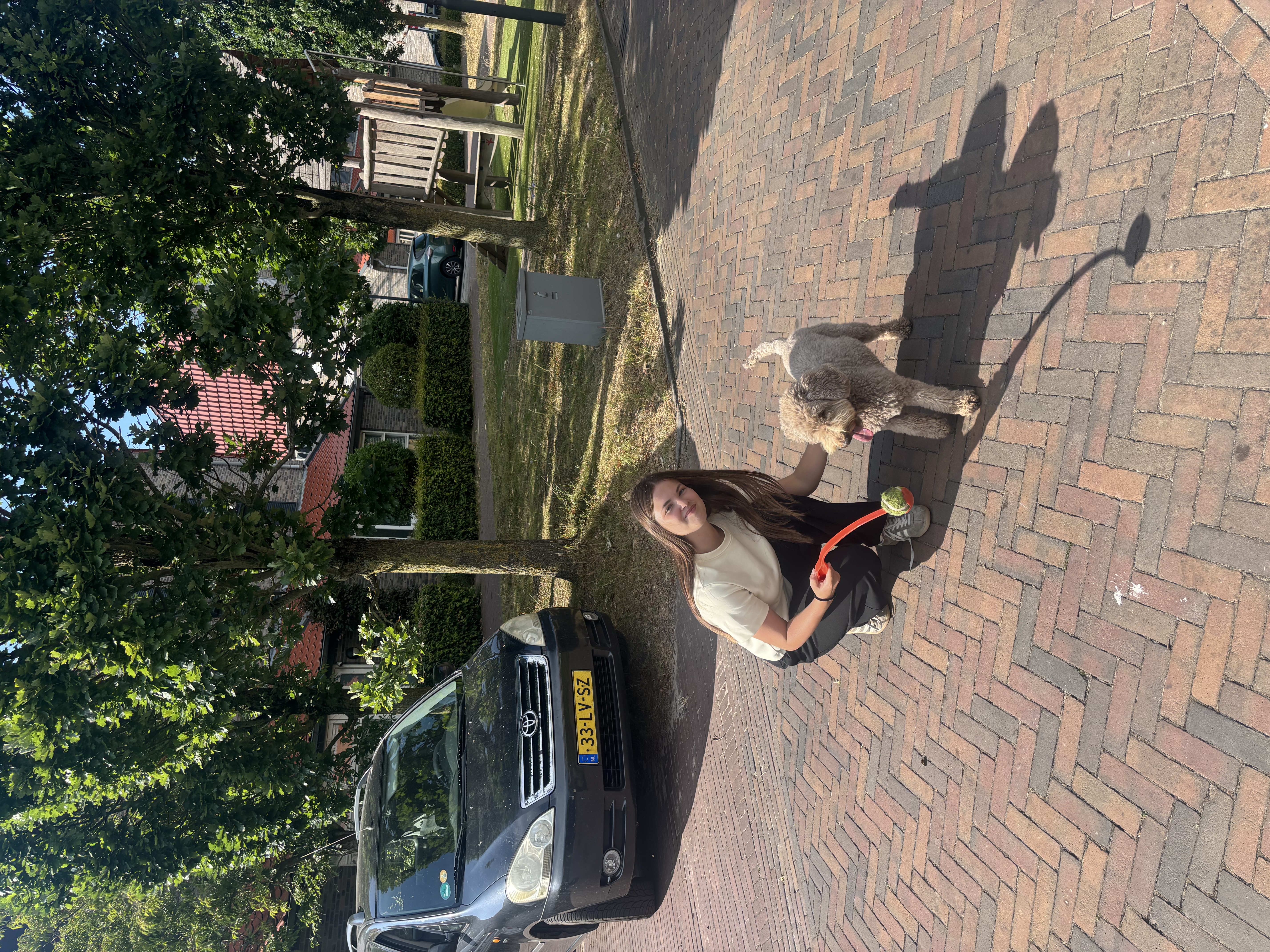 image-6