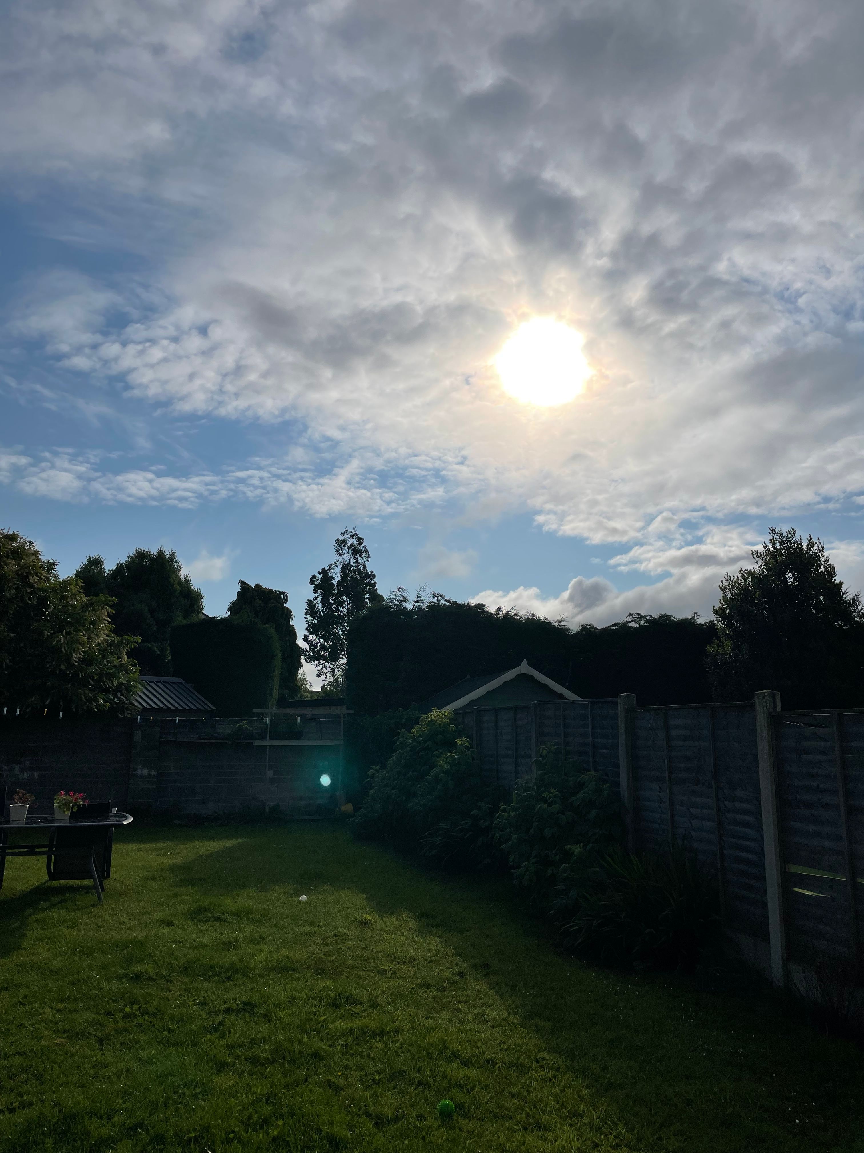 image-15