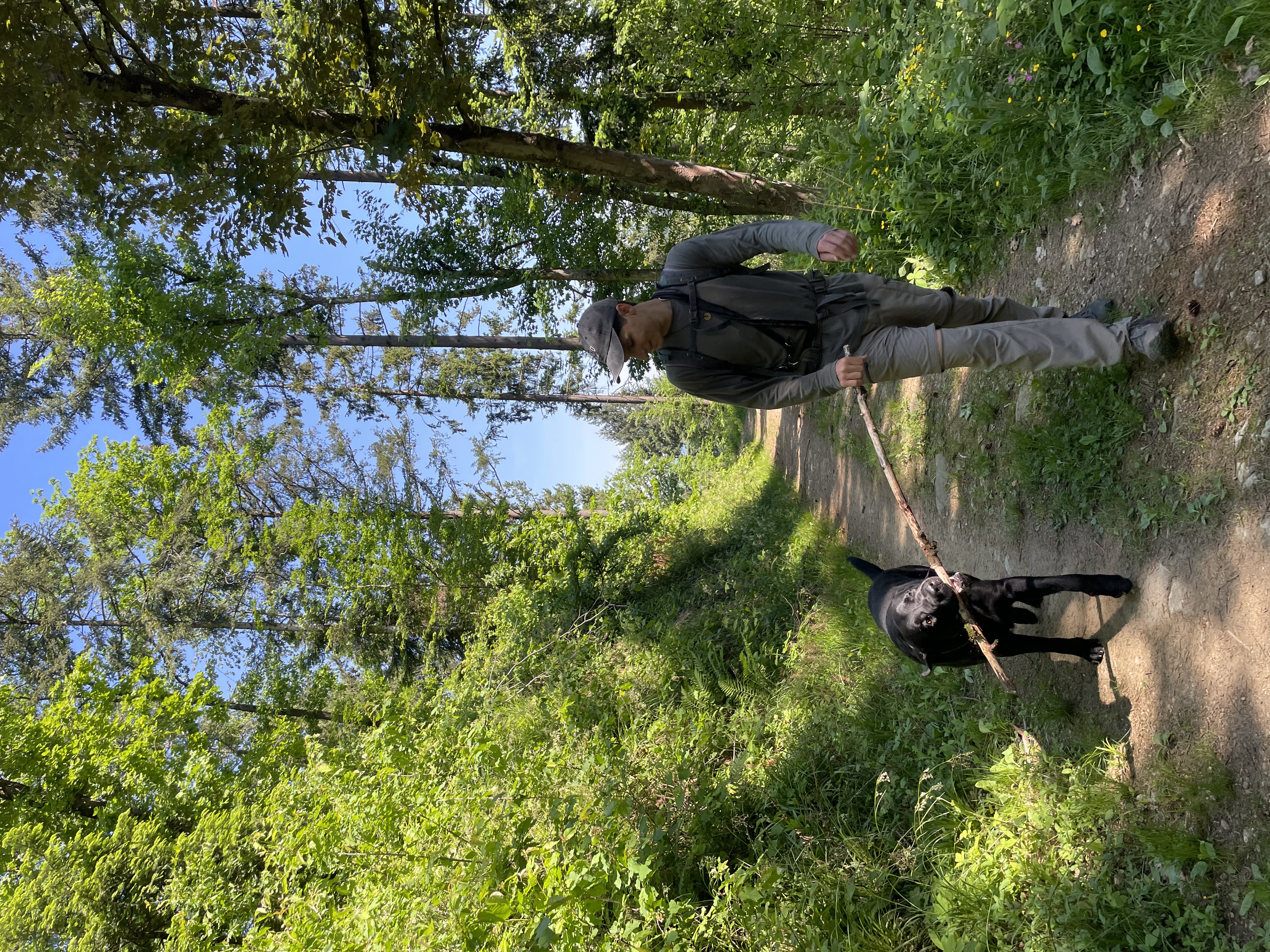 image-4