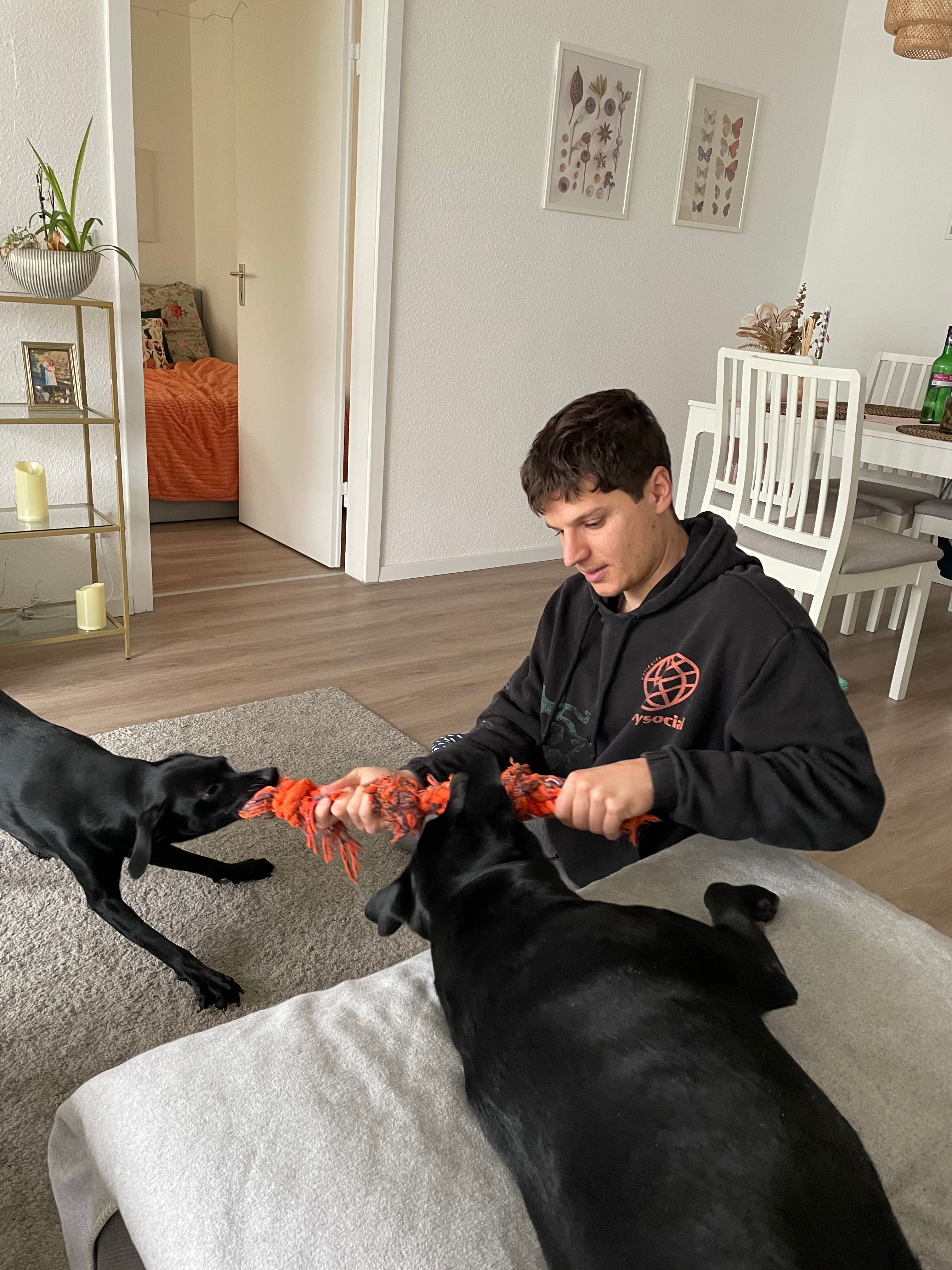 image-13
