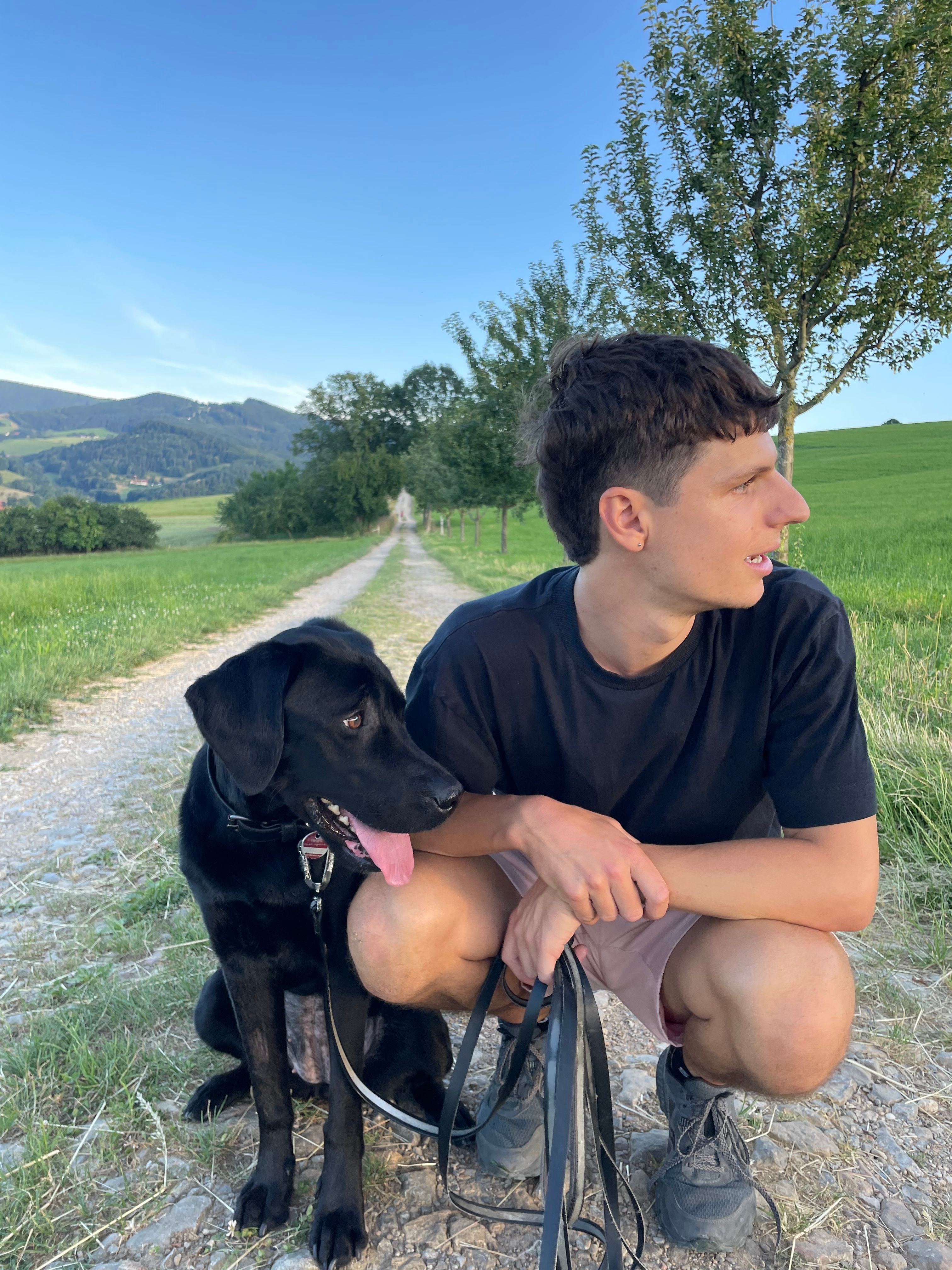 image-8