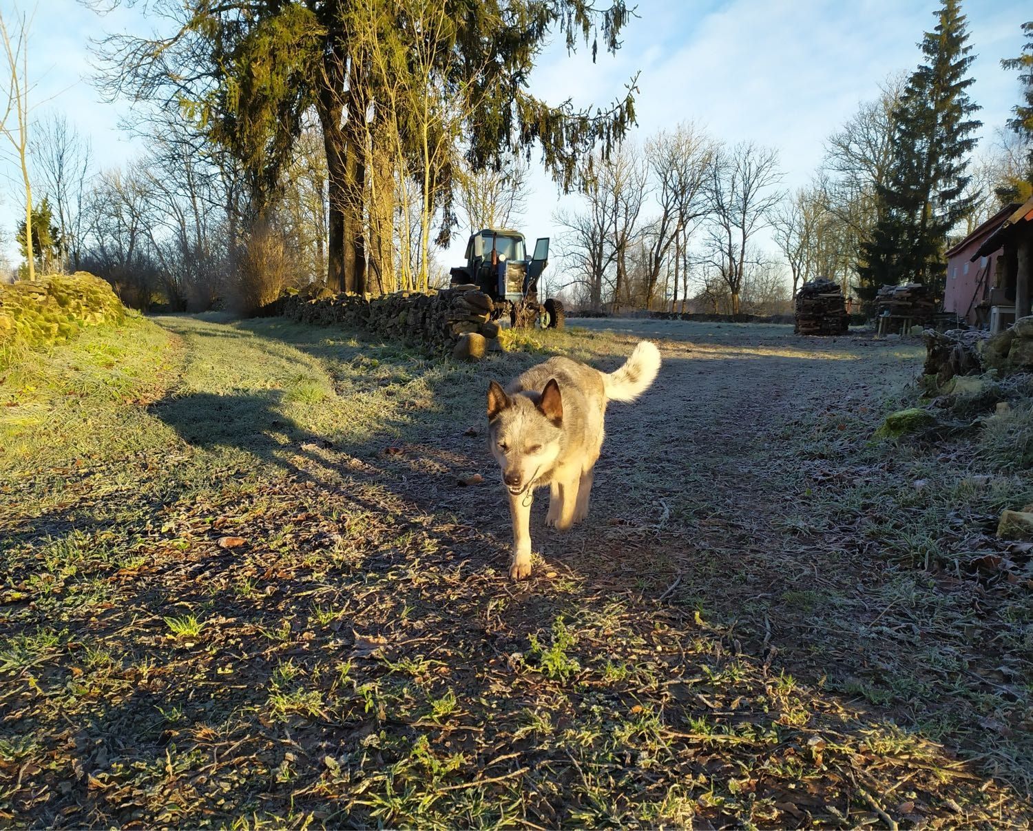 image-7