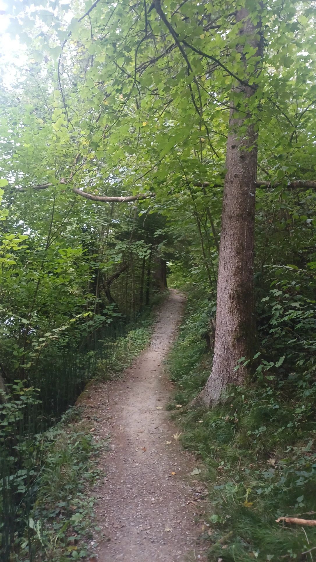 image-15