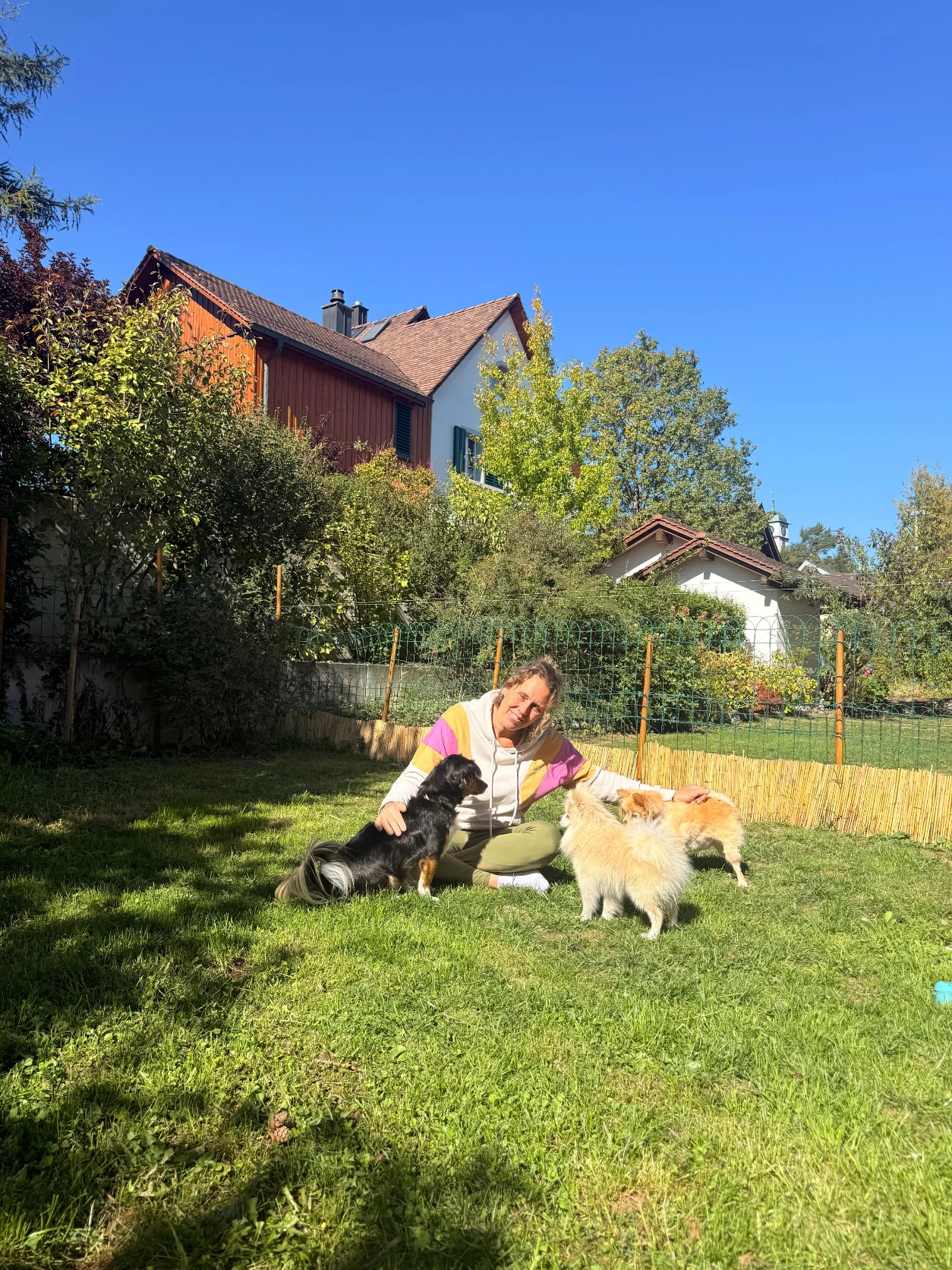 image-12