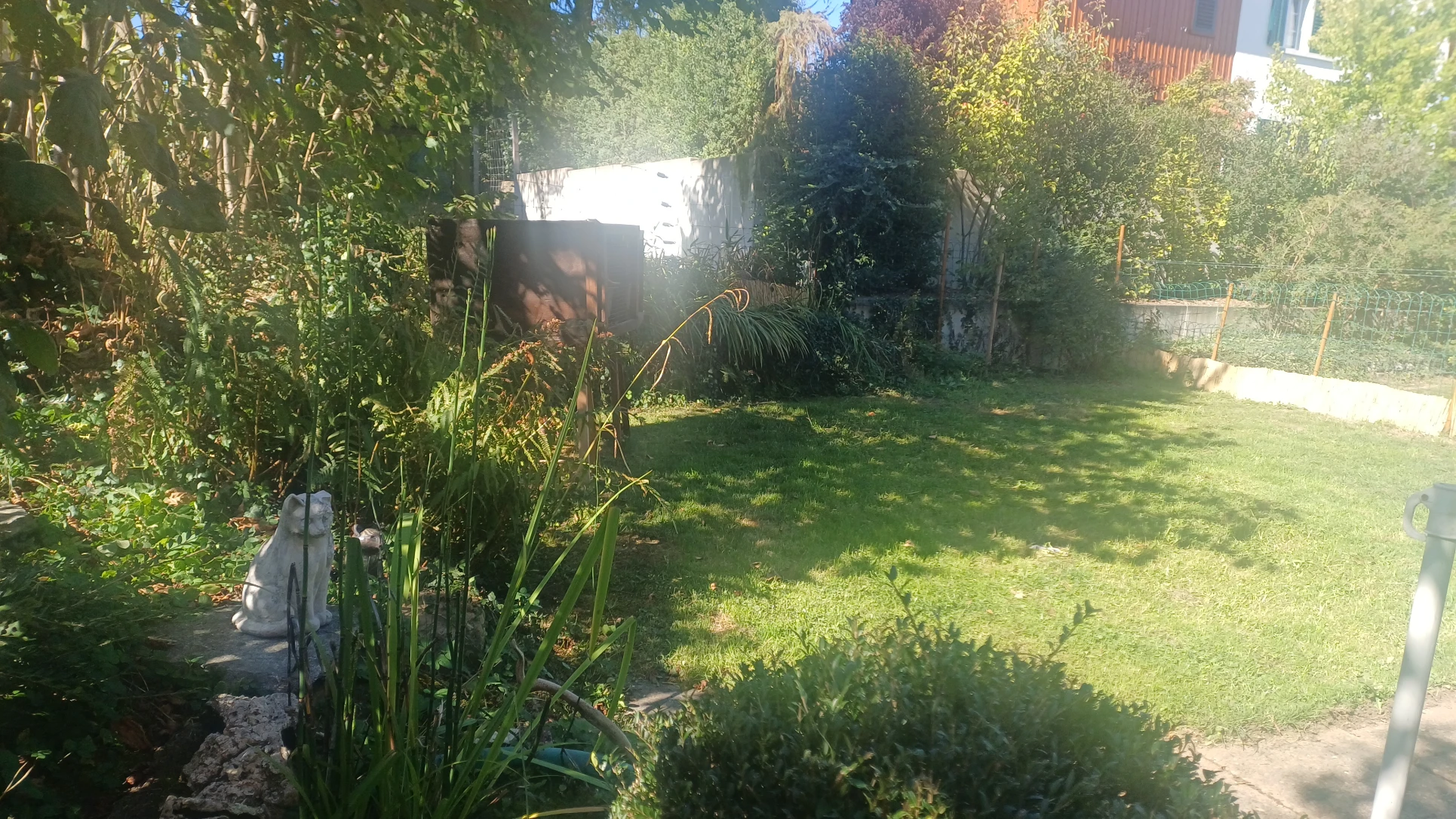 image-14