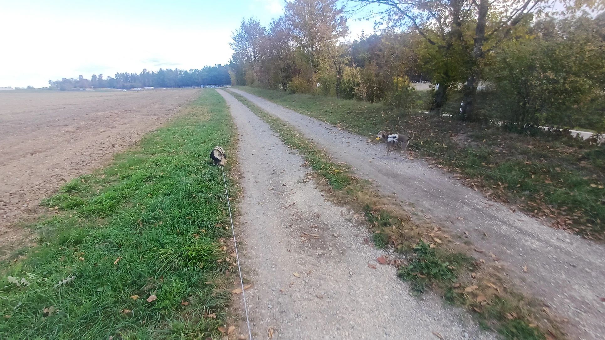 image-15