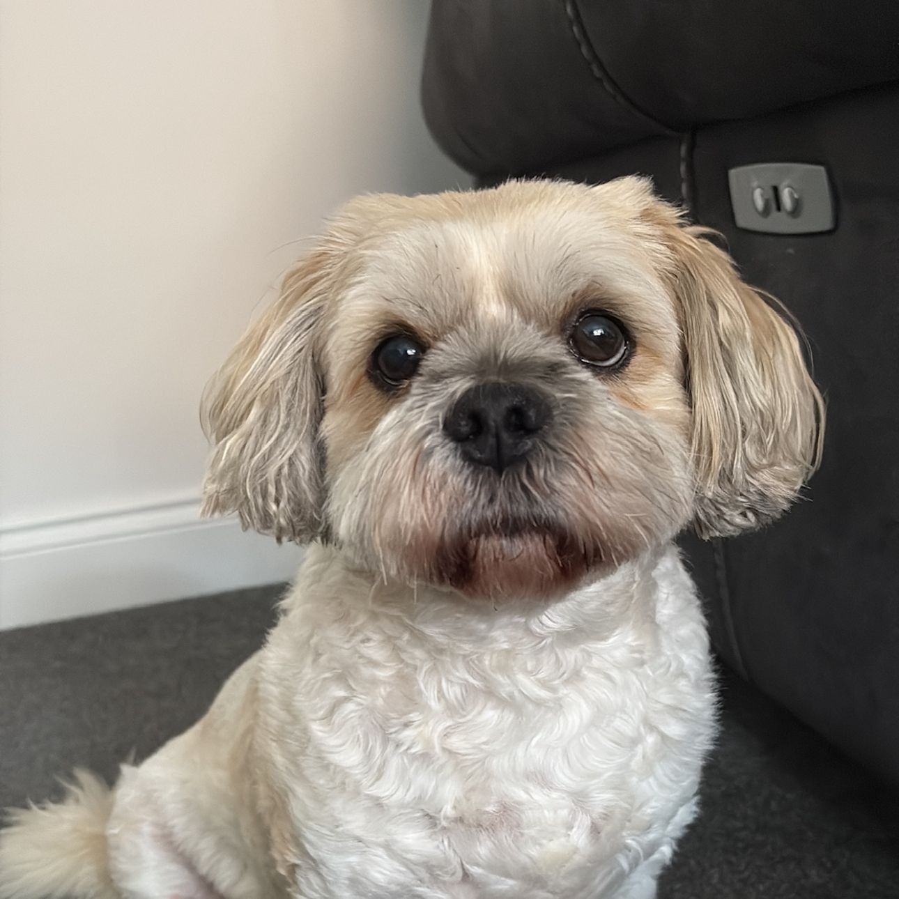 Beau