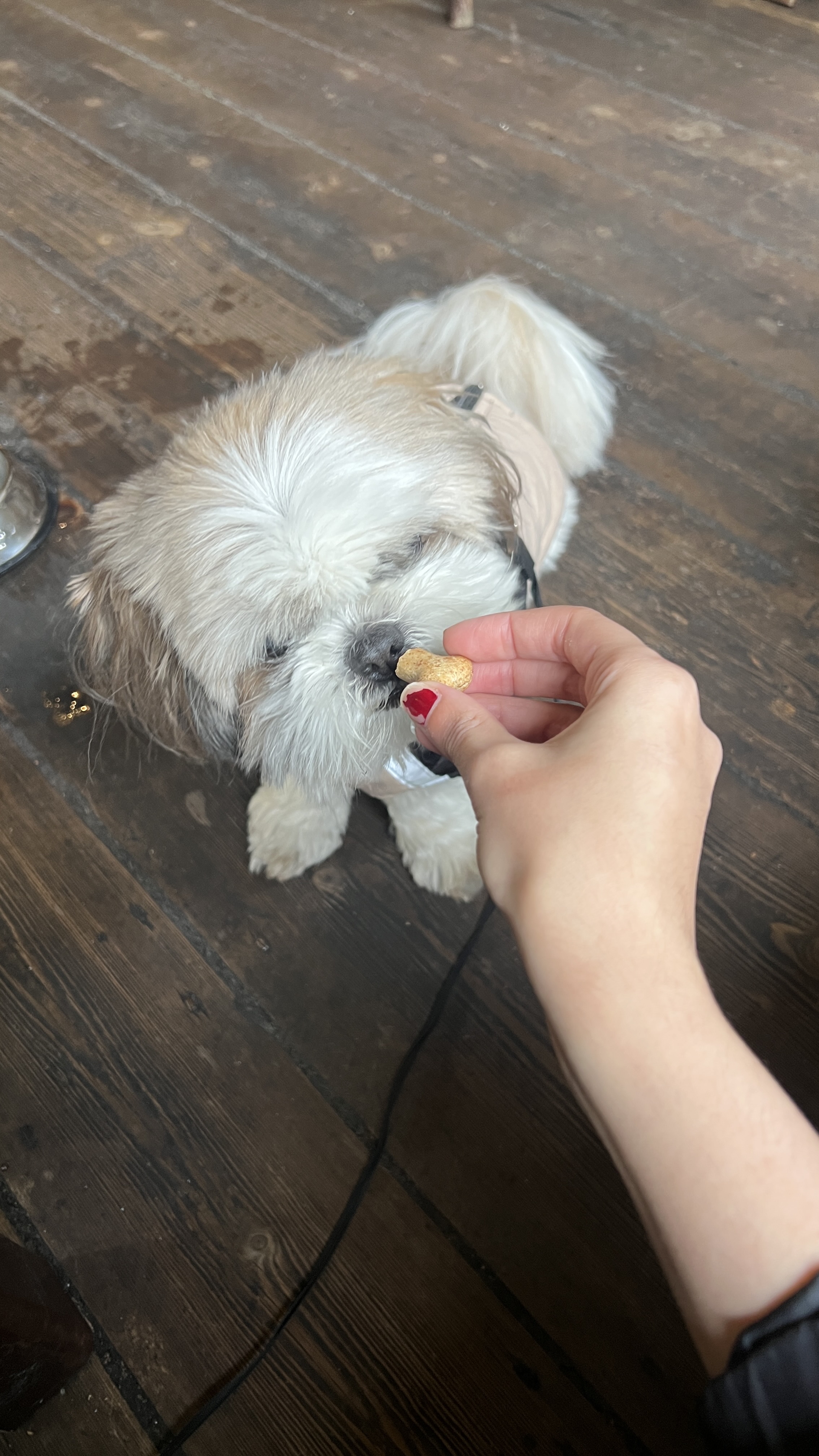 image-7