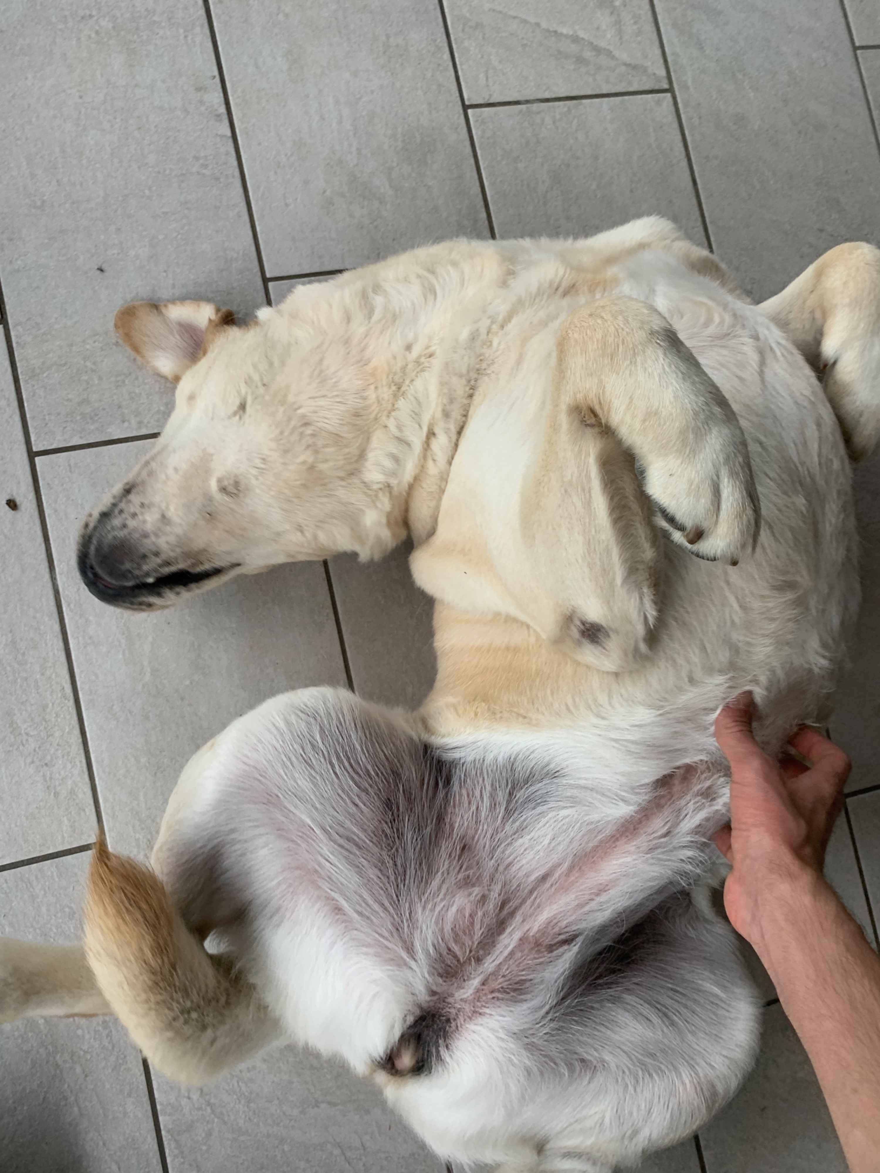 image-9