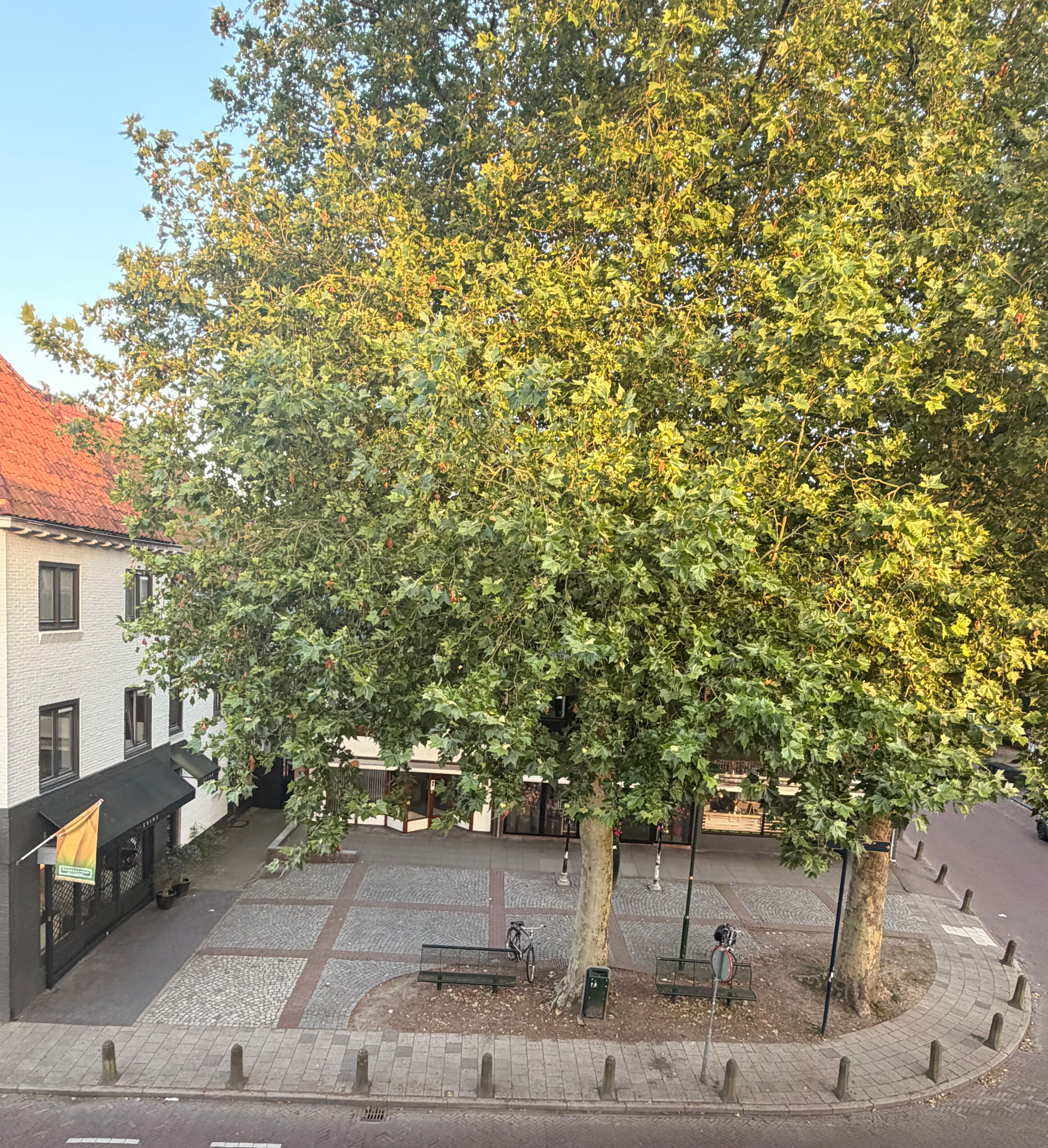 image-16