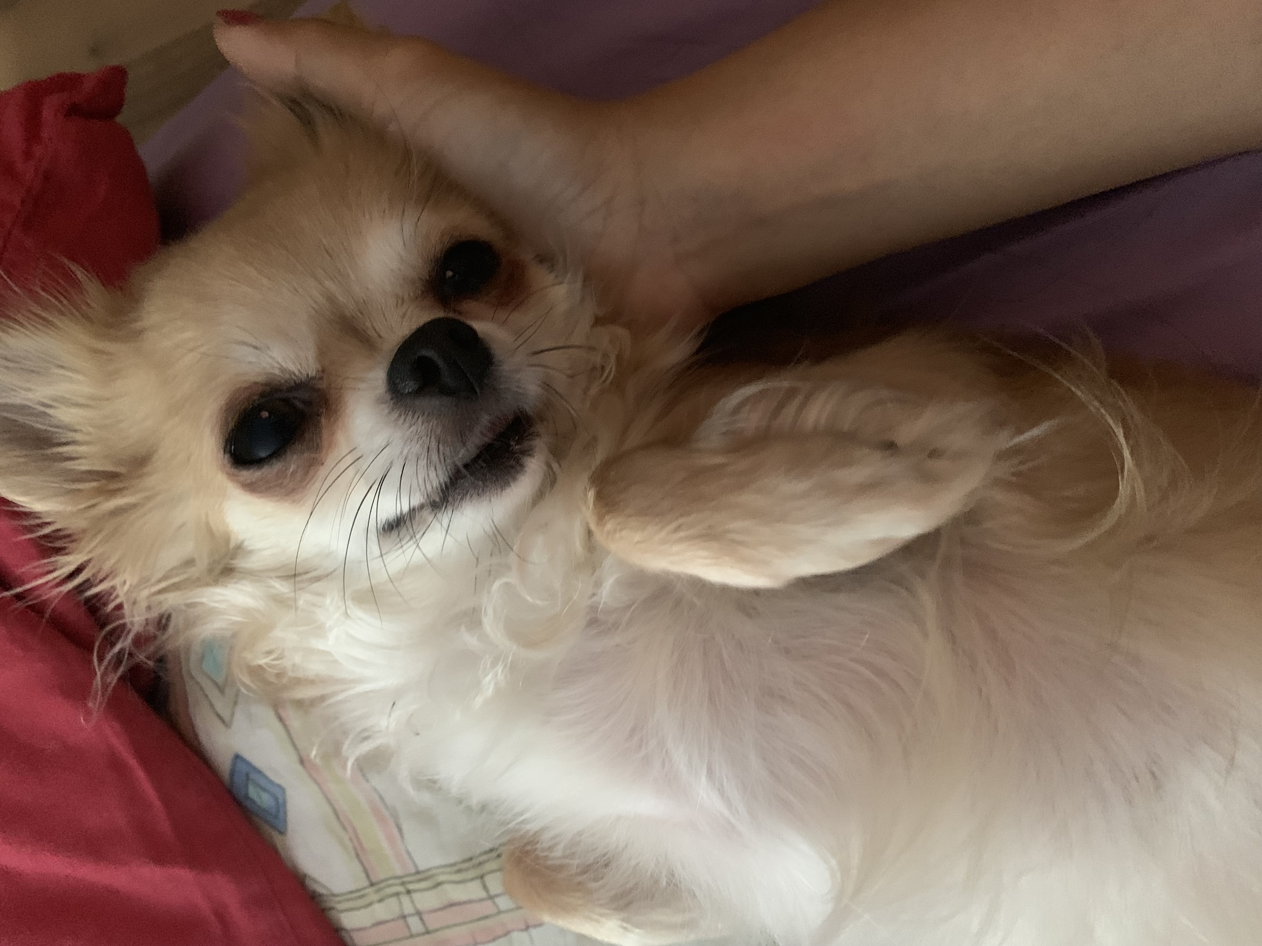 image-5