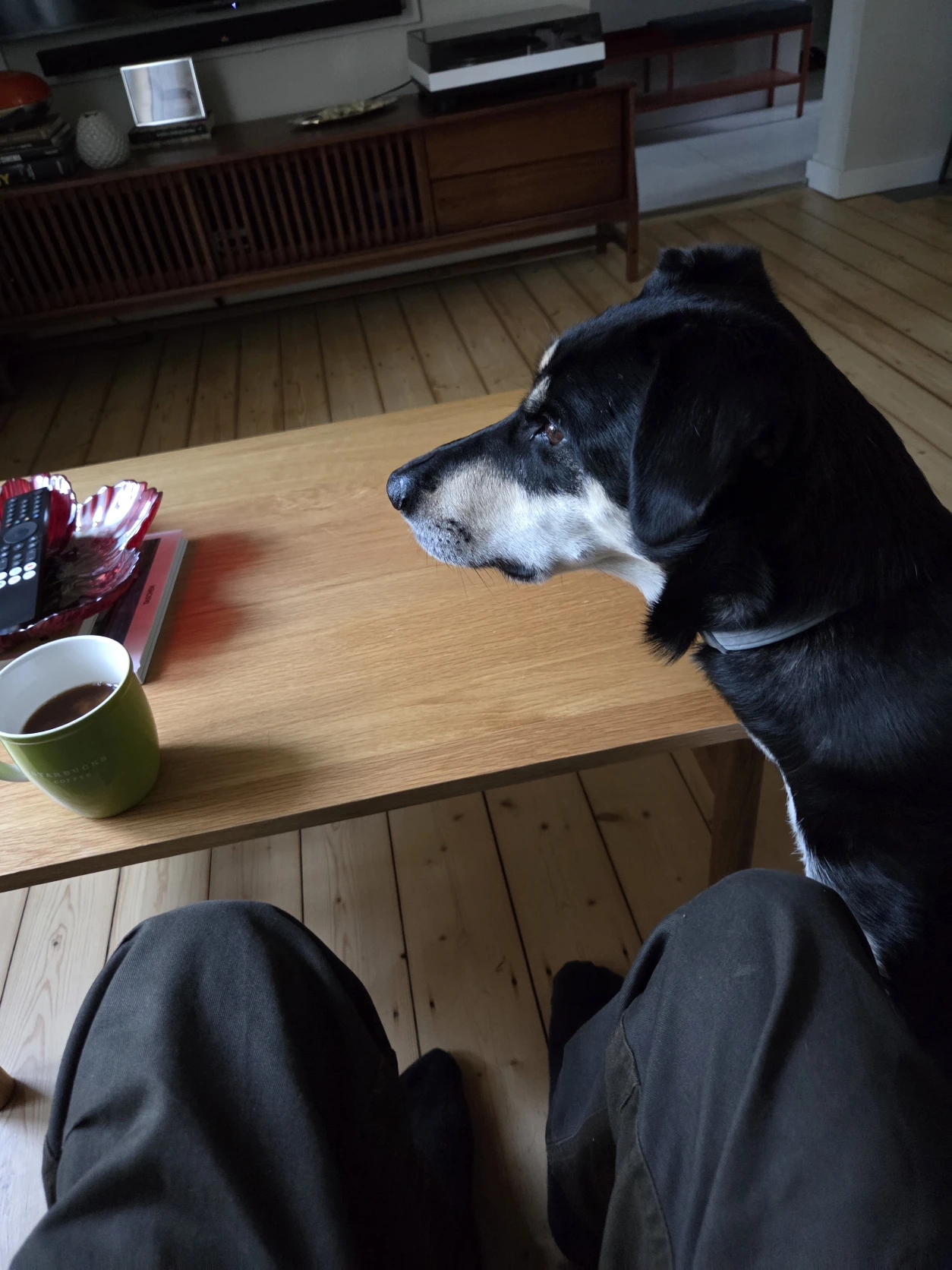 image-47