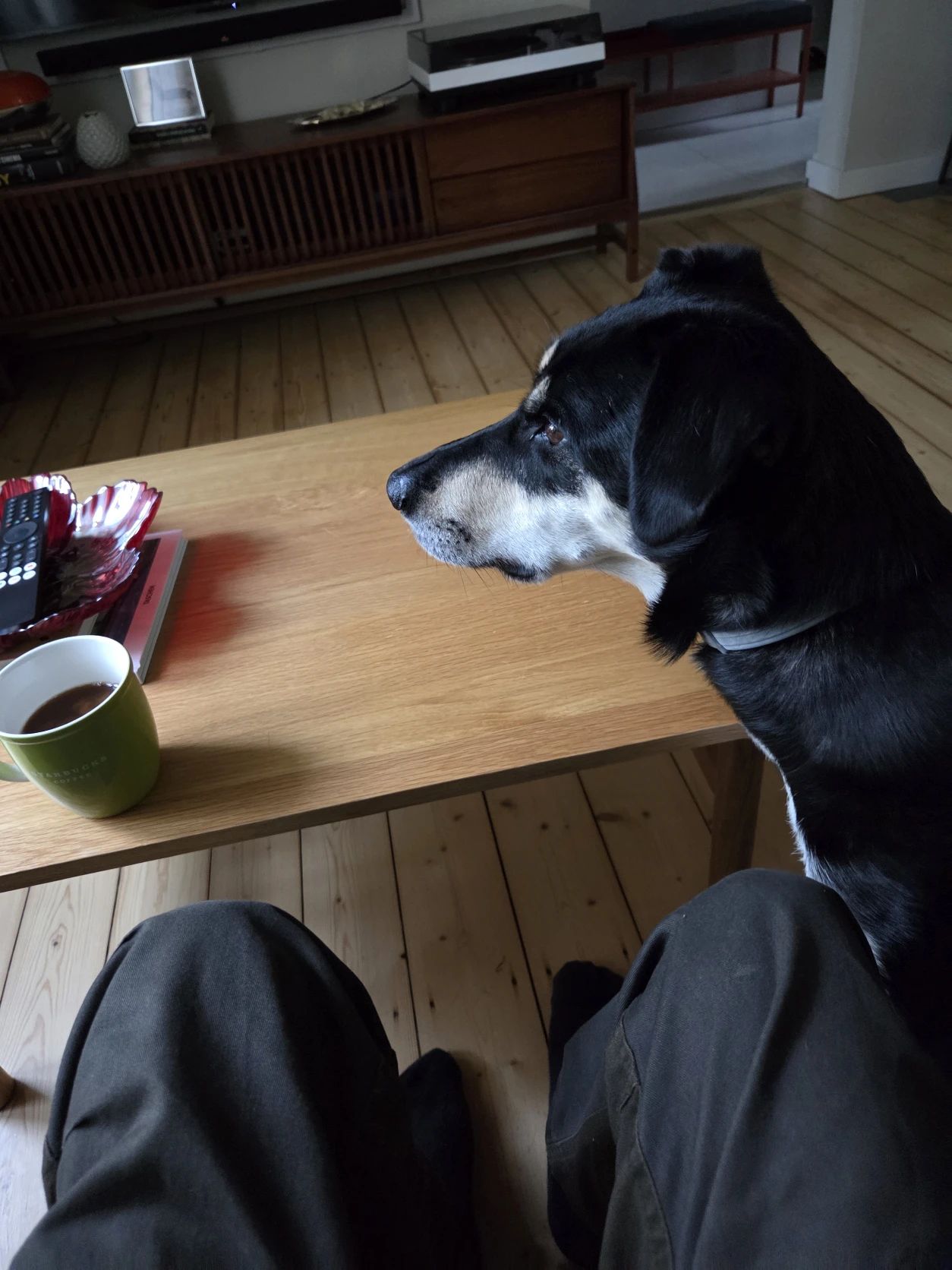 image-47