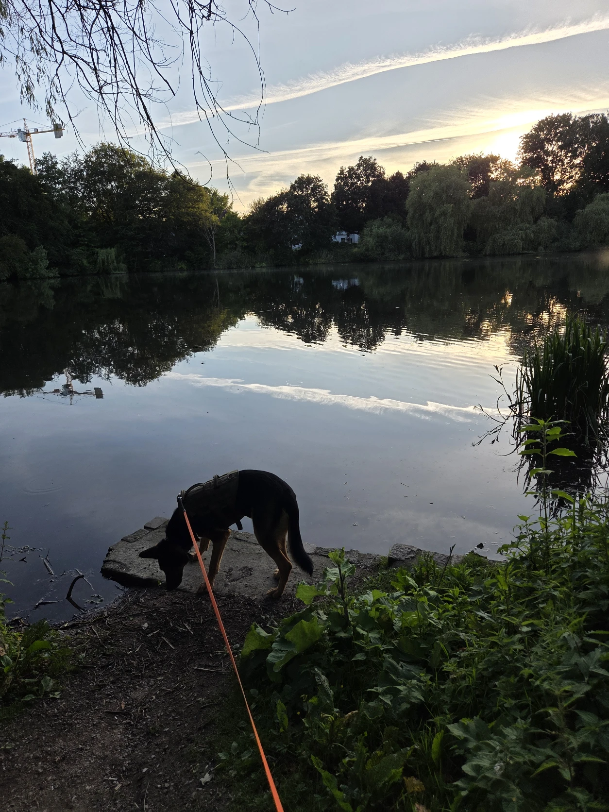 image-20