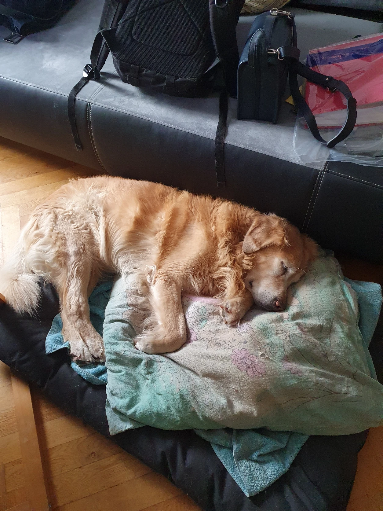 image-9