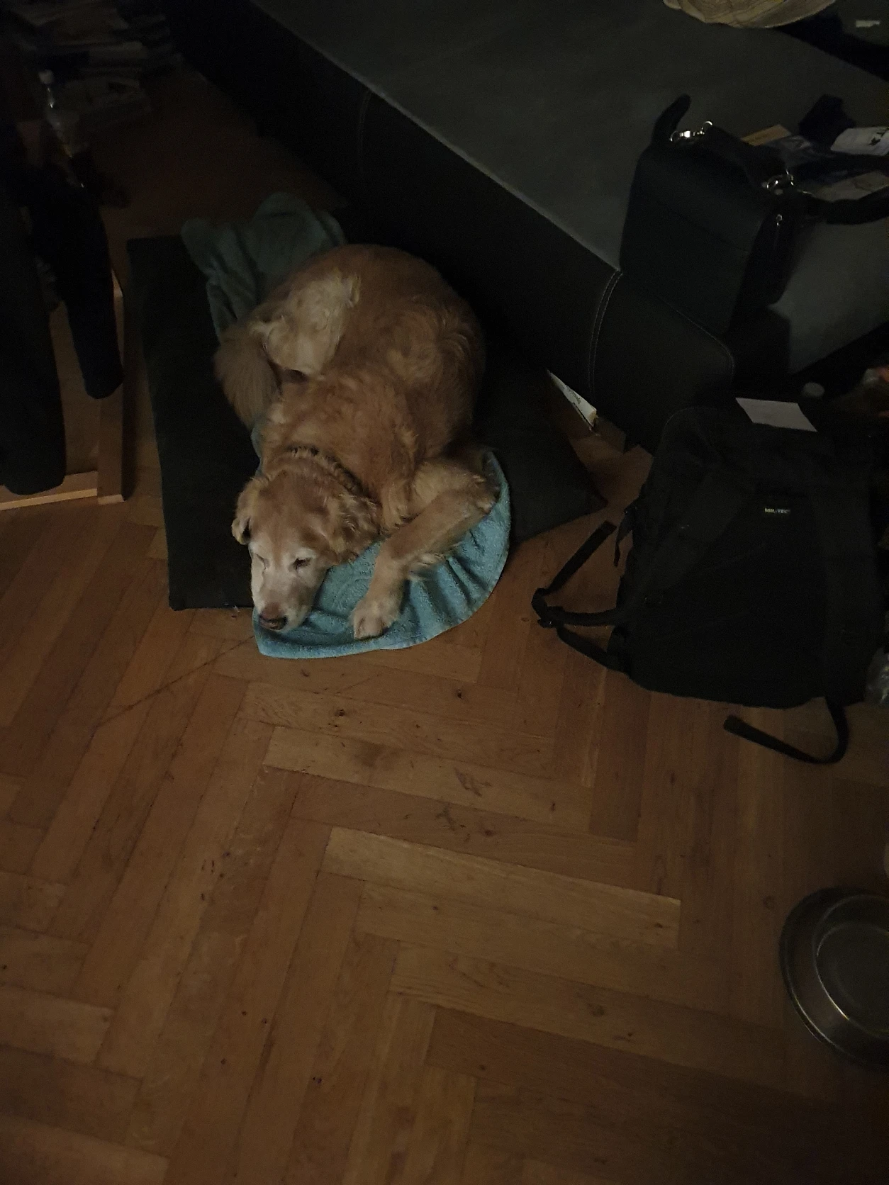 image-7