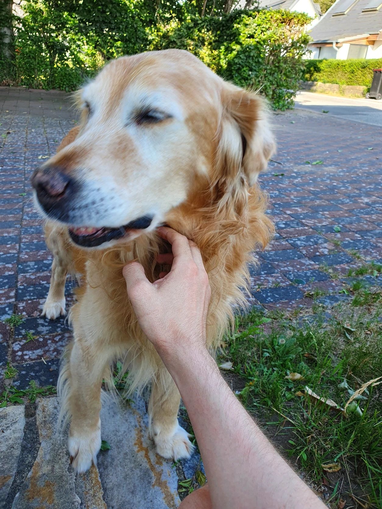 image-11