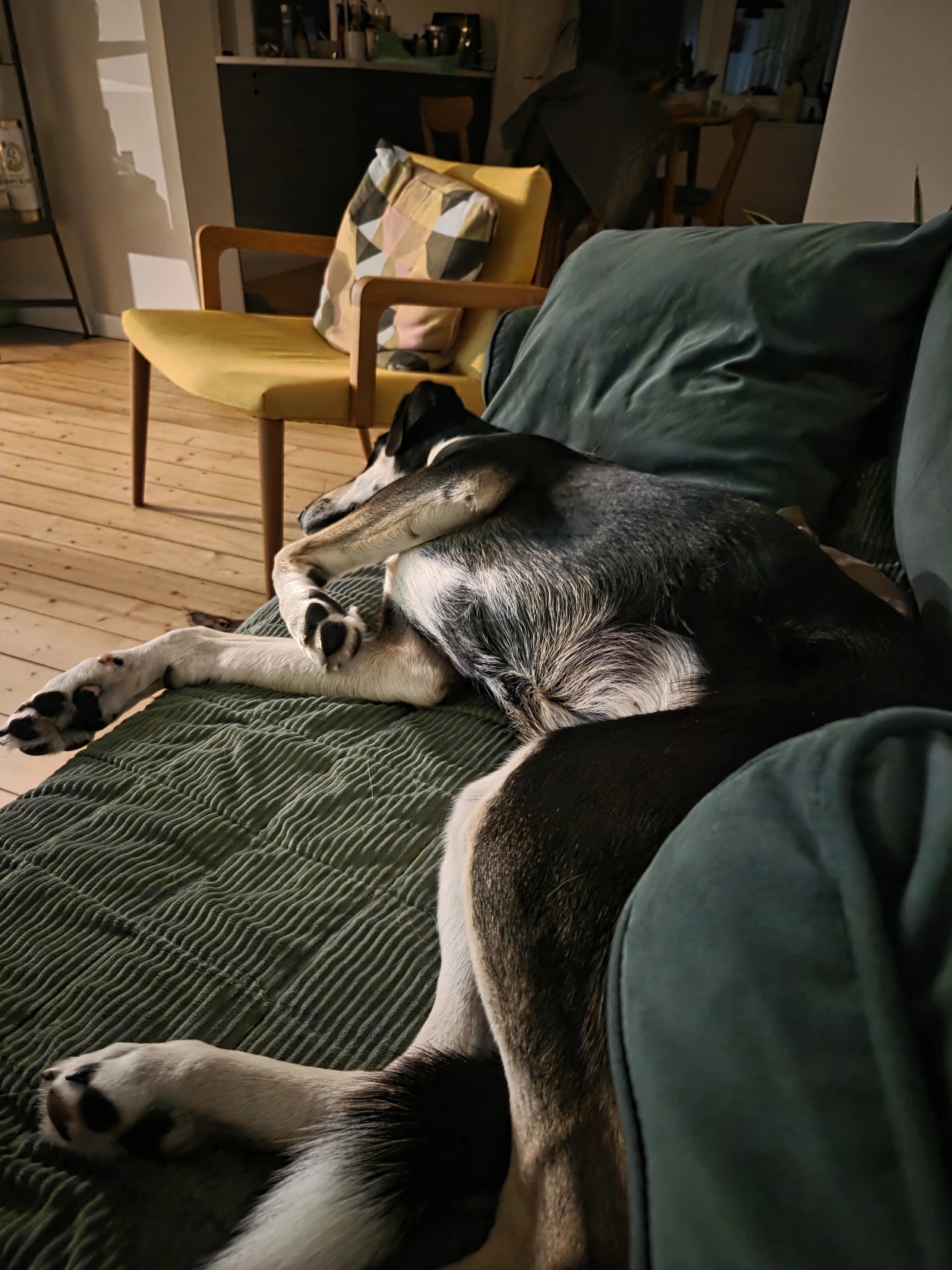 image-43