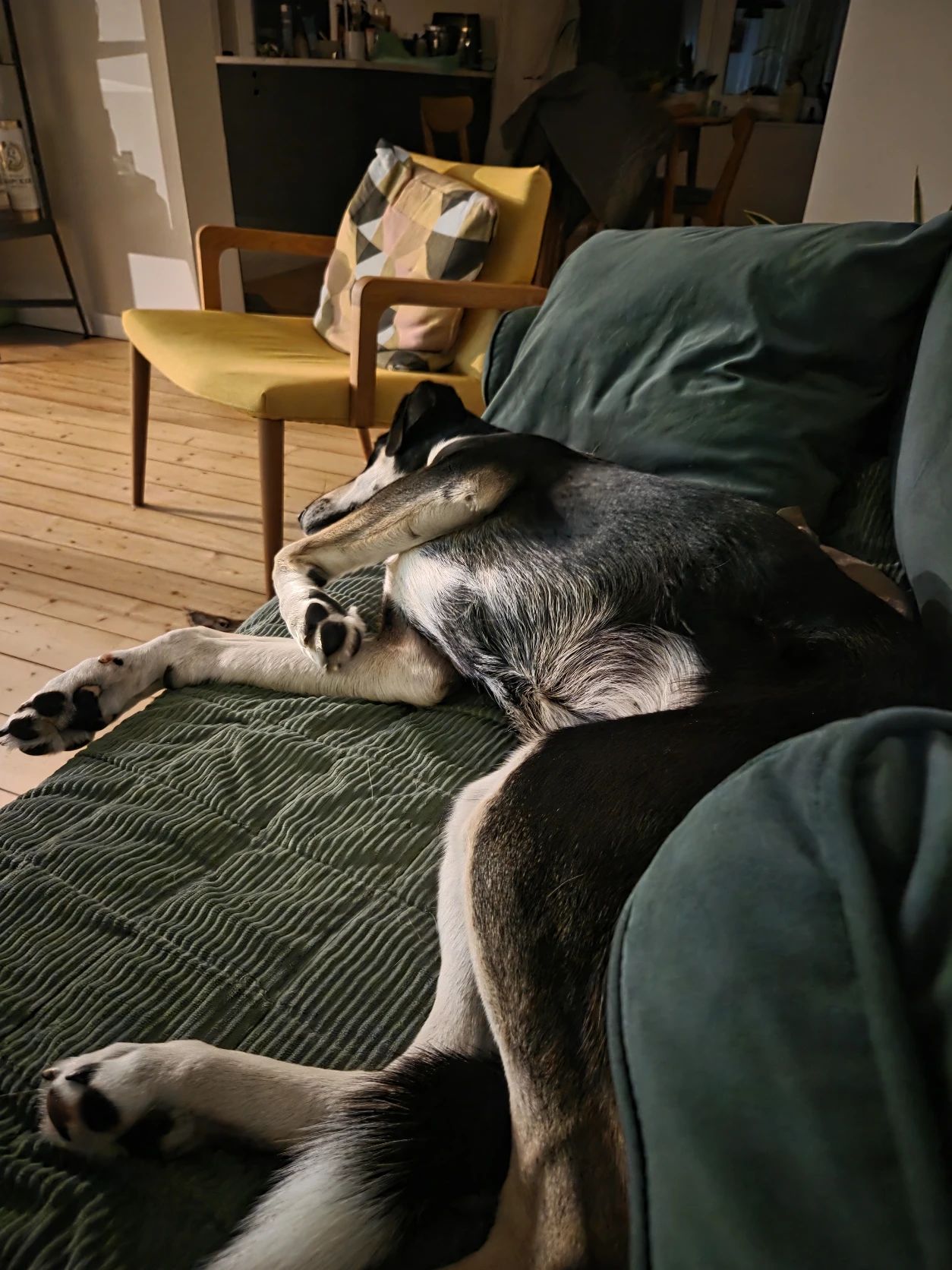 image-43