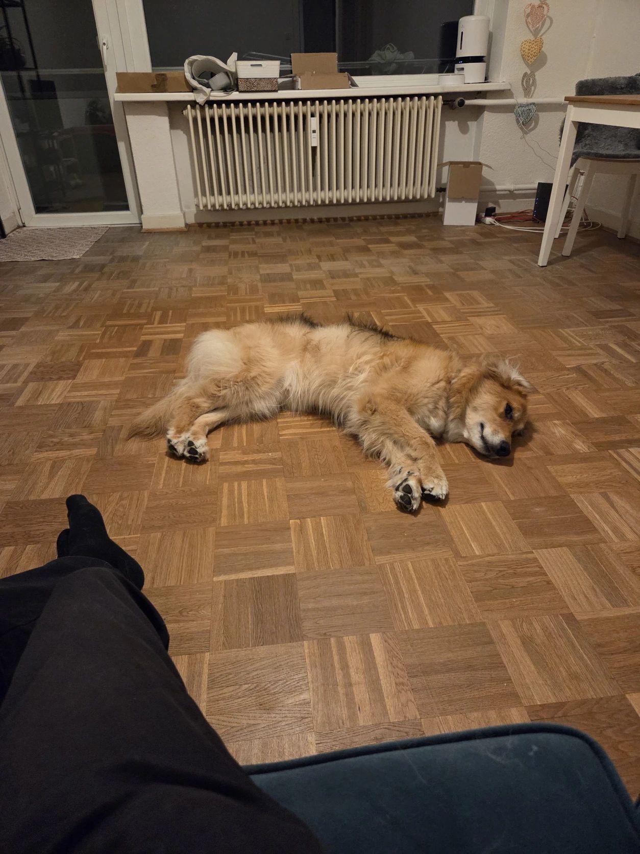 image-37