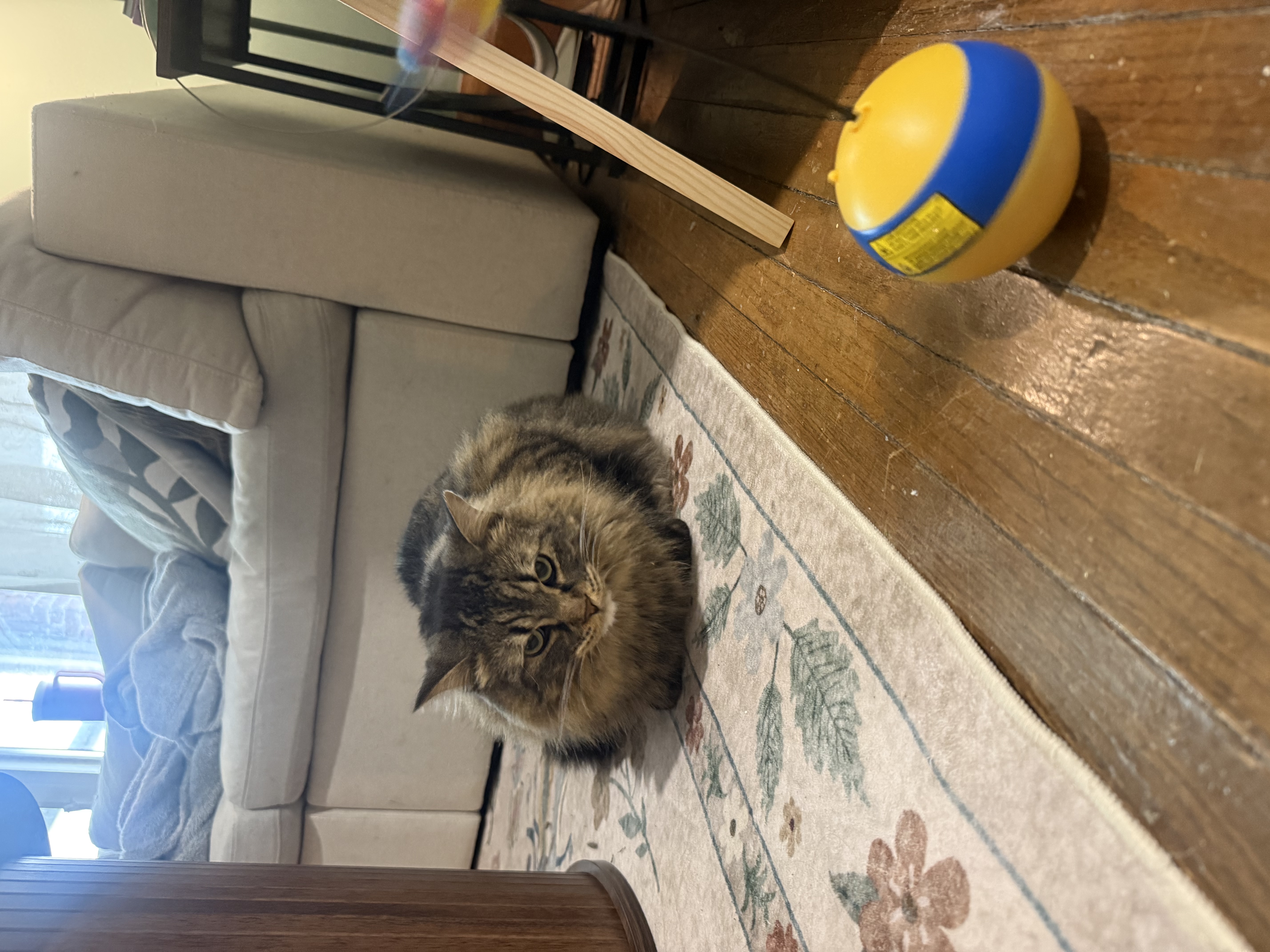image-12