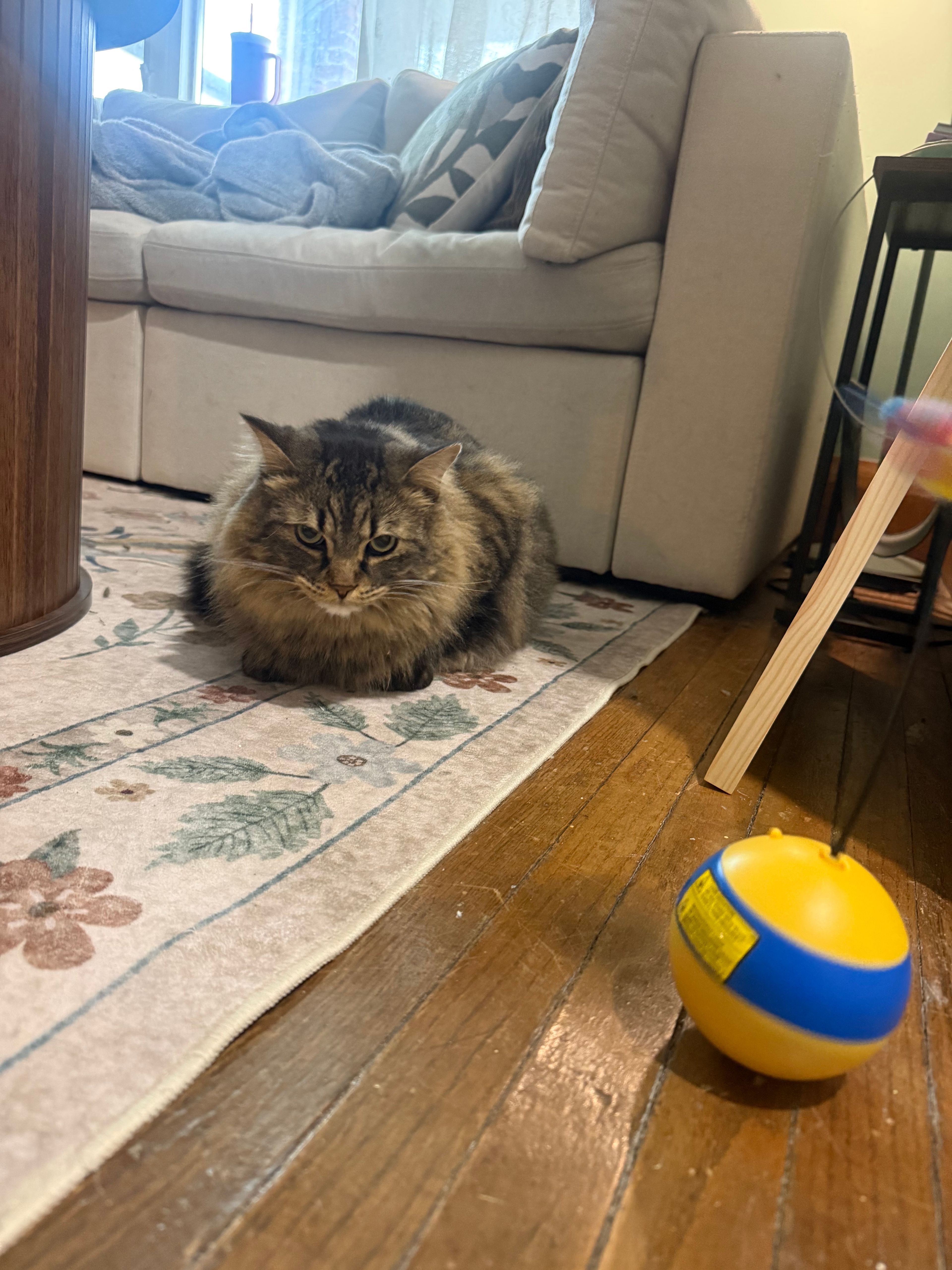 image-12
