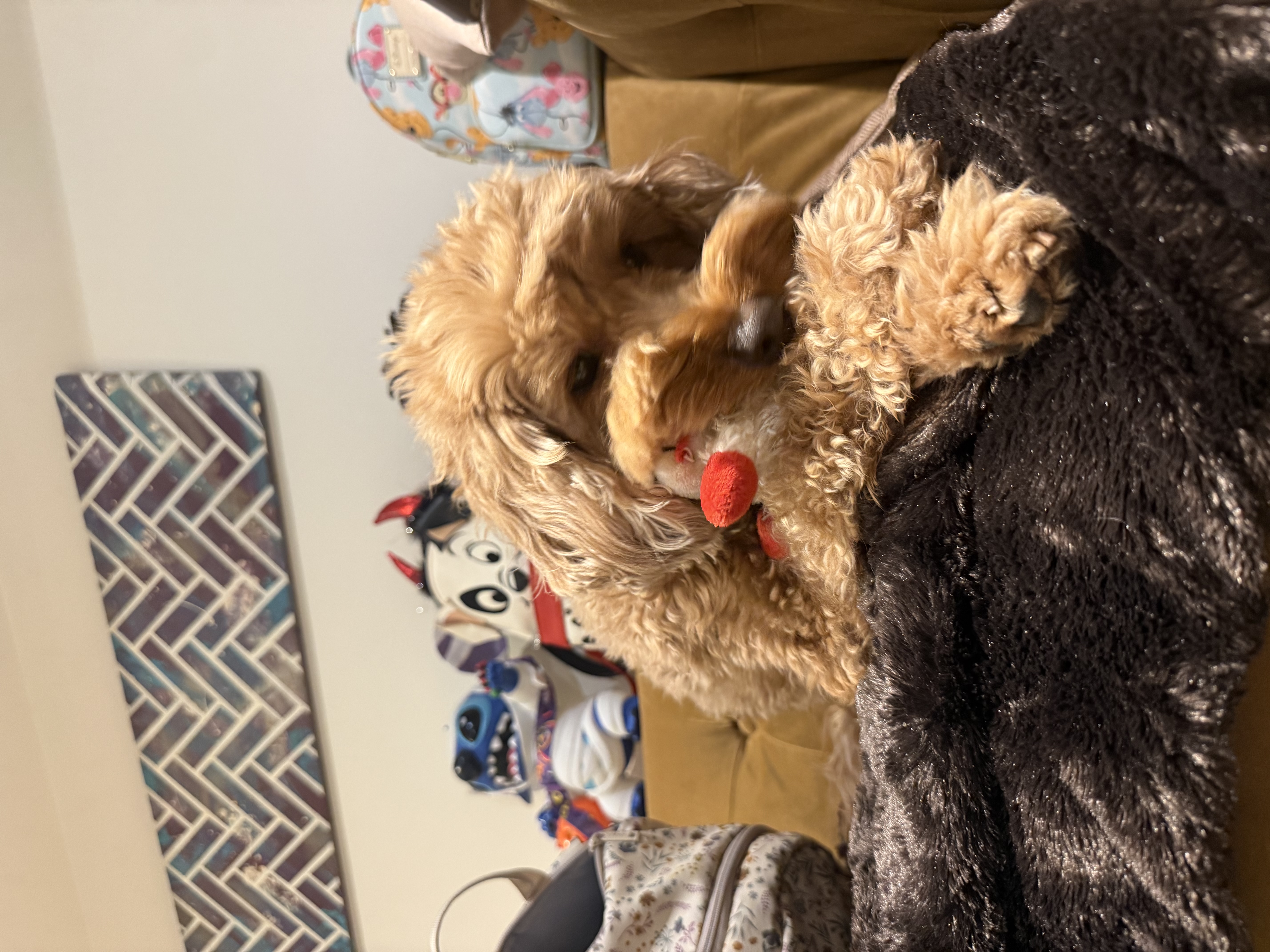 image-15