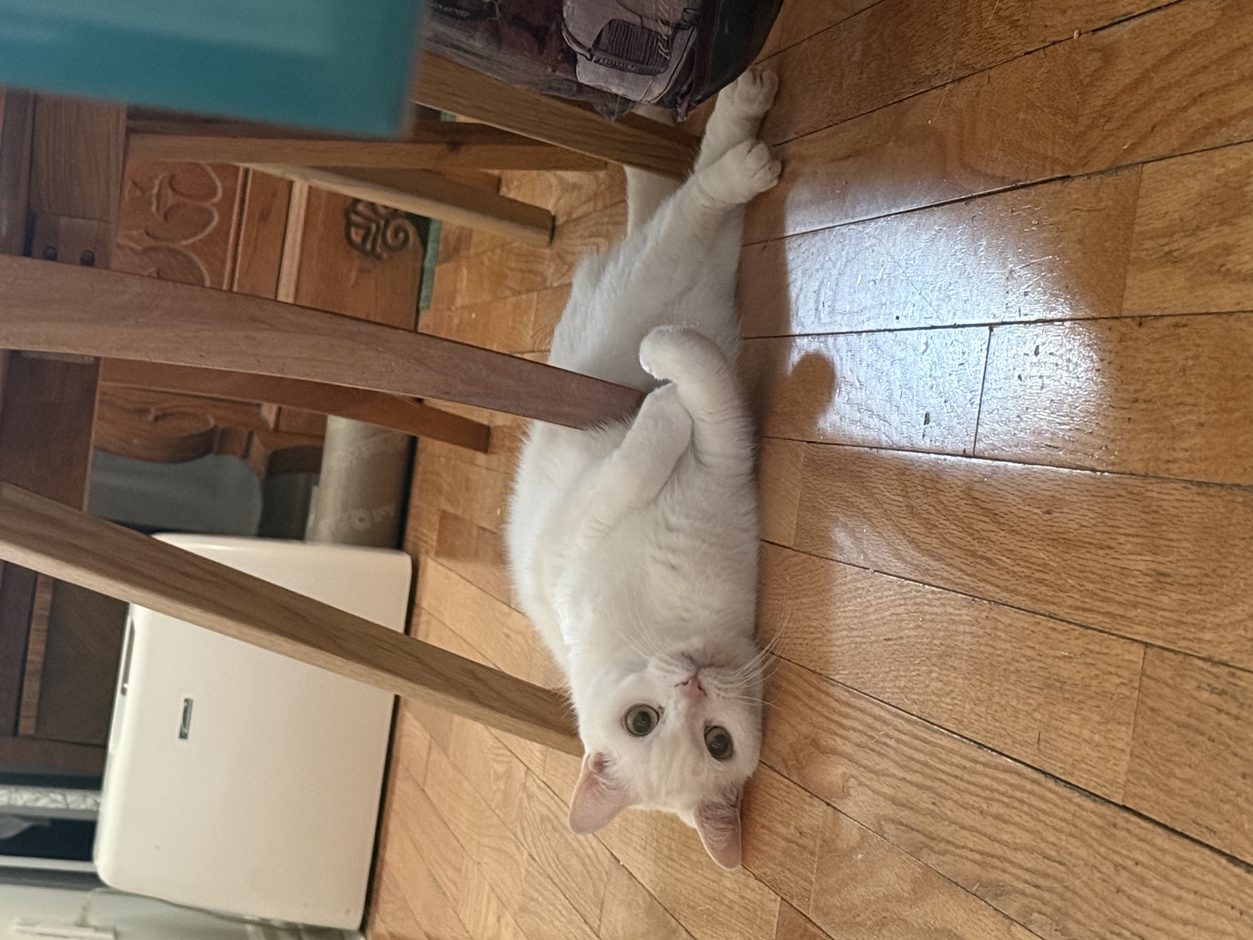 image-13