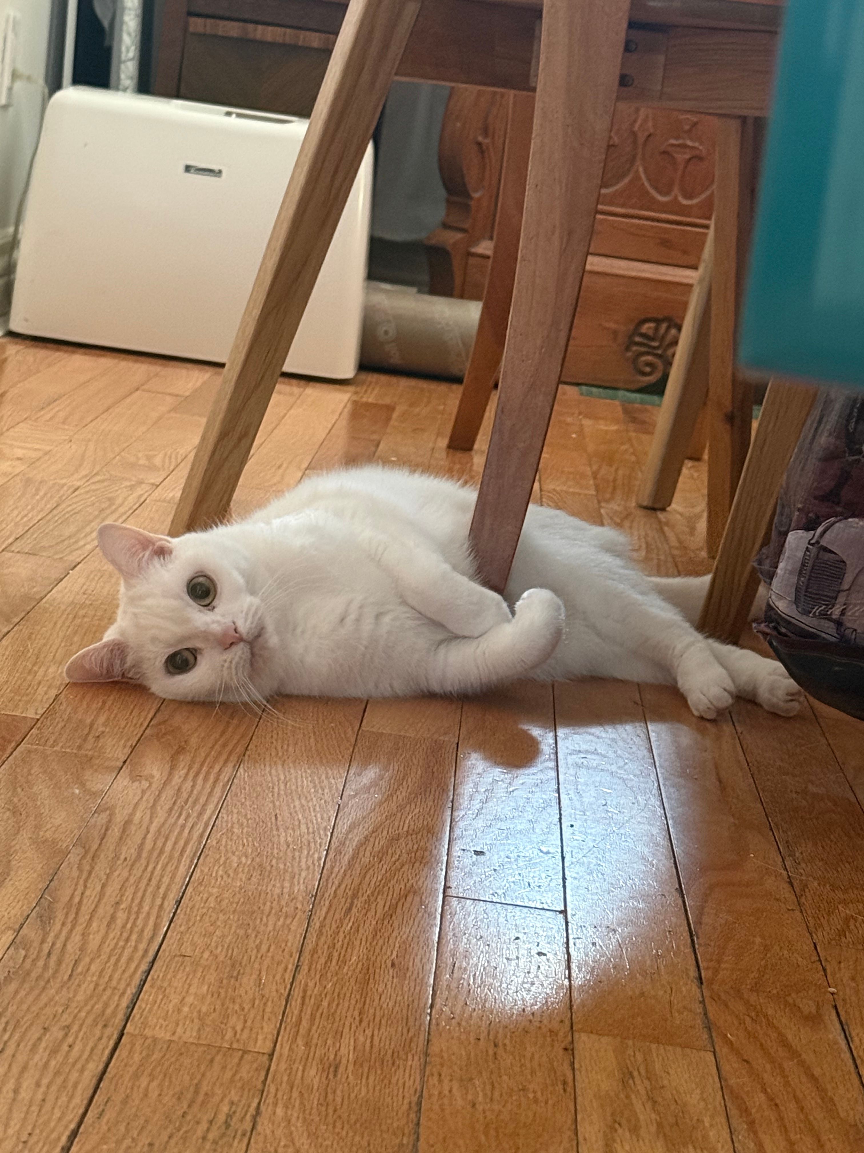 image-13