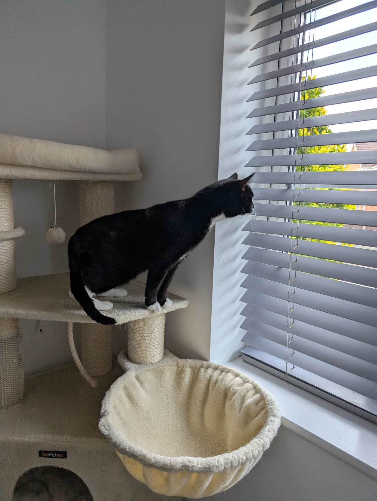 image-11