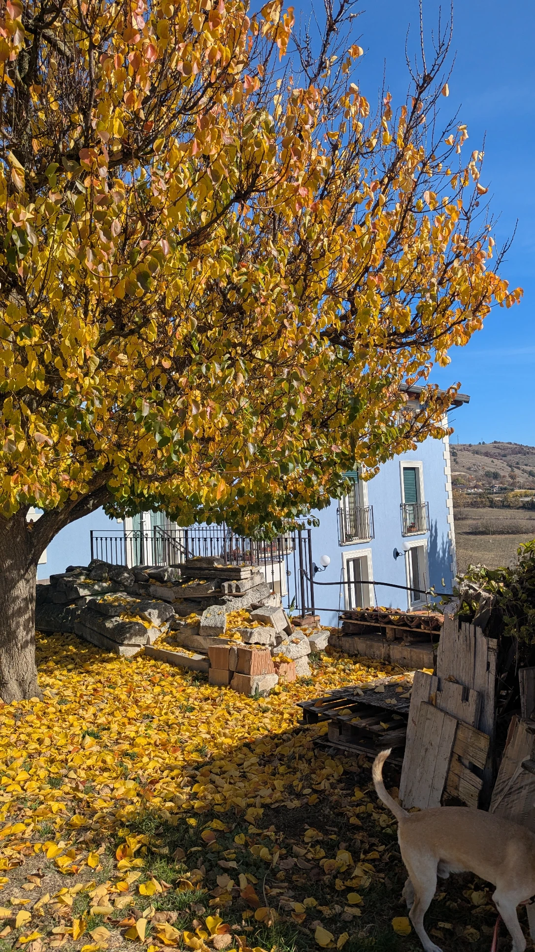 image-27