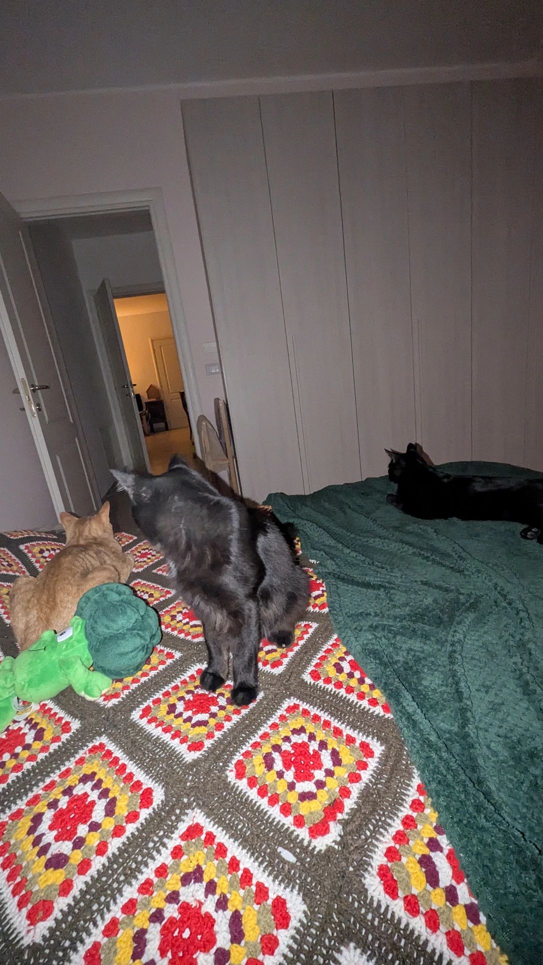 image-32