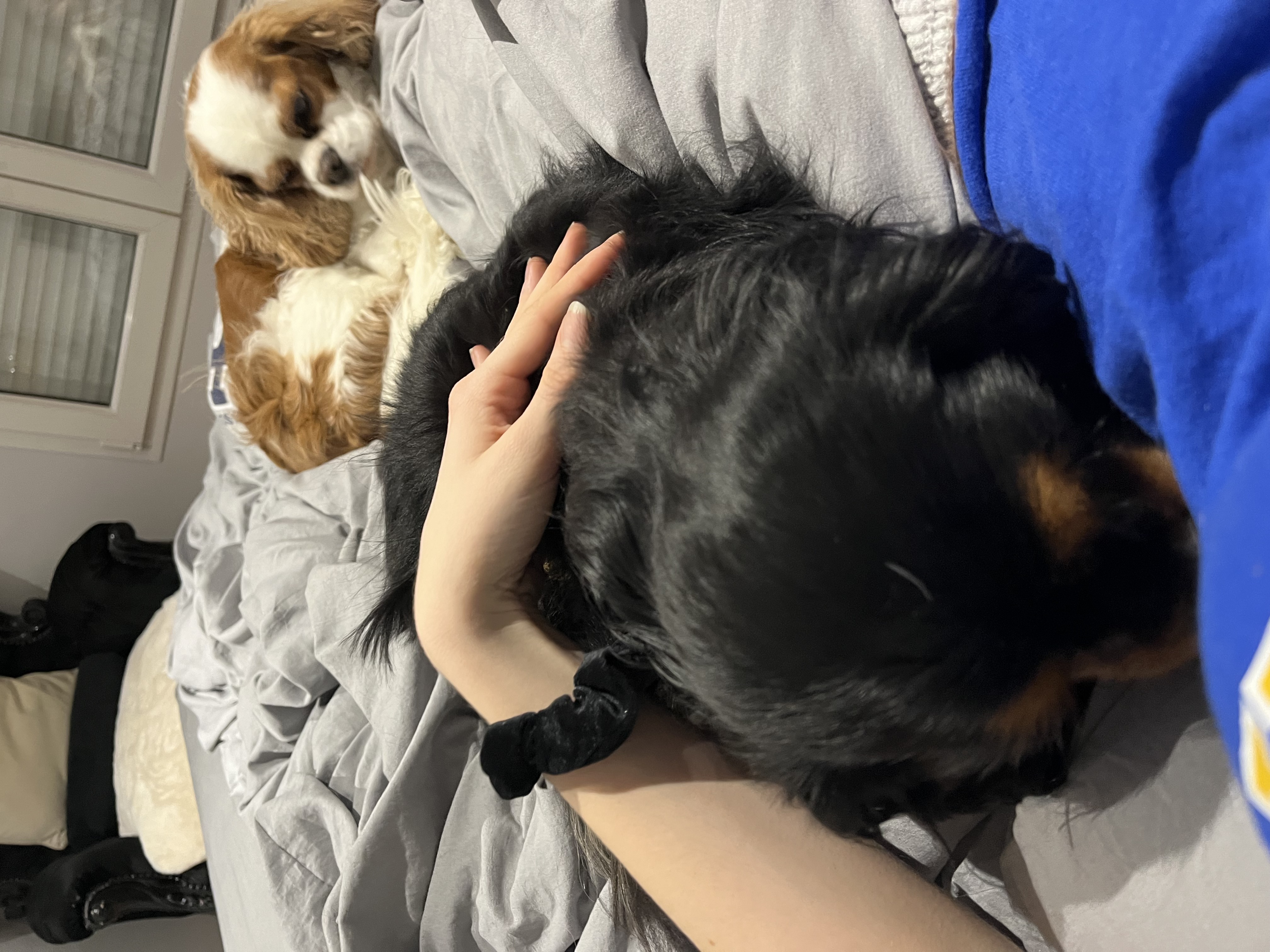 image-9