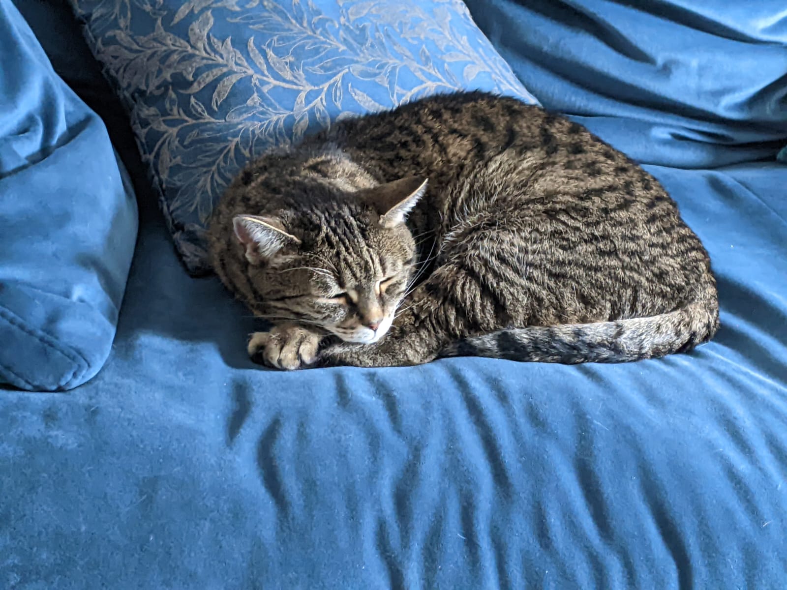 image-6
