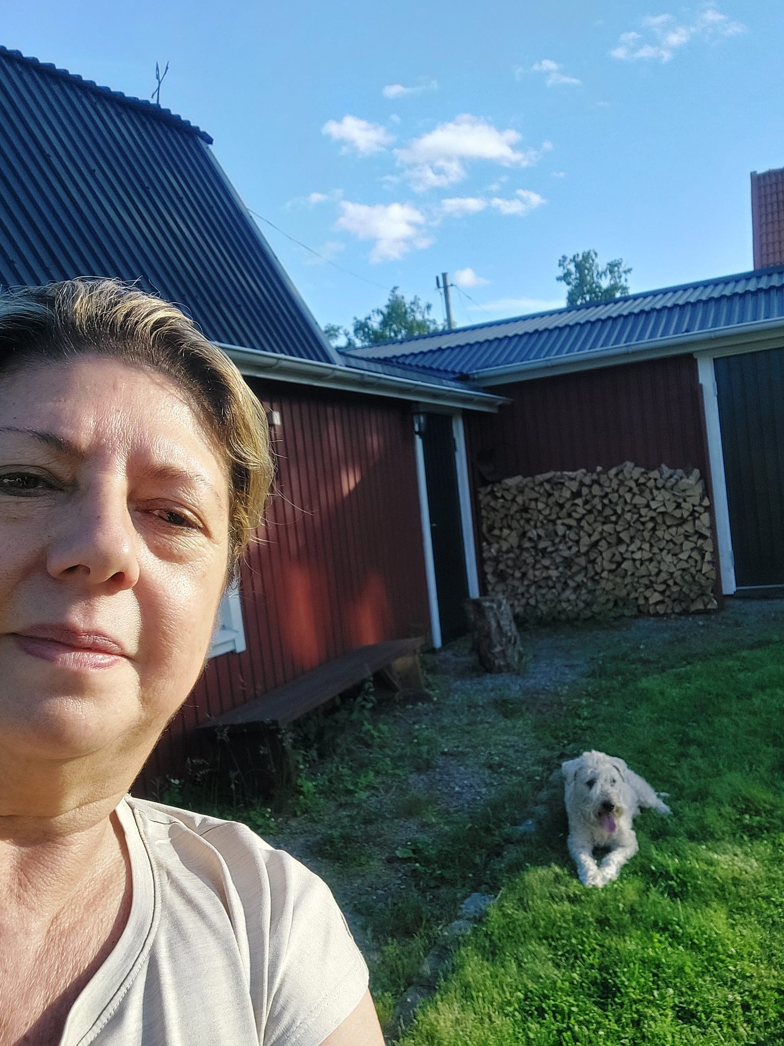 image-10
