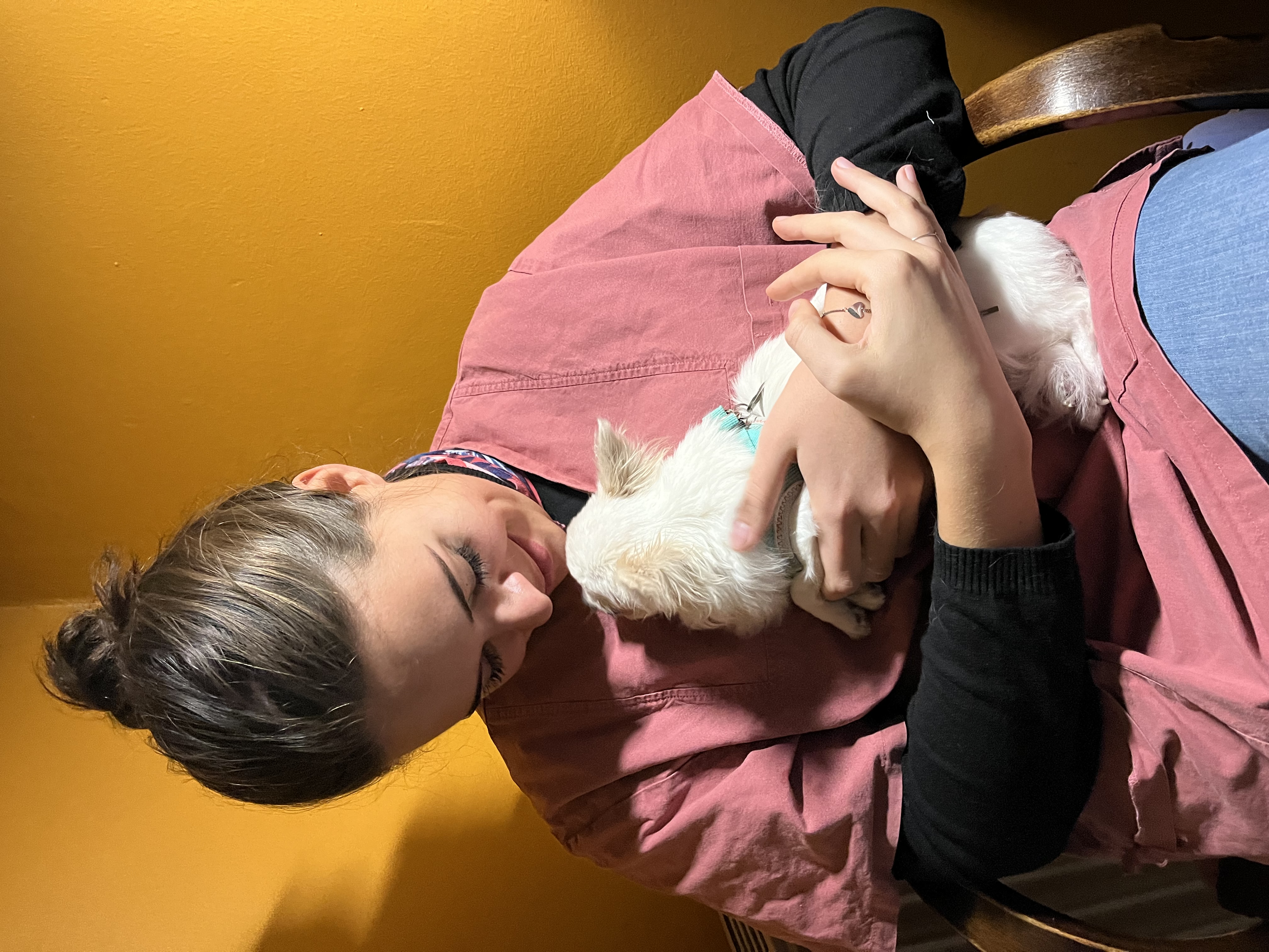 image-11