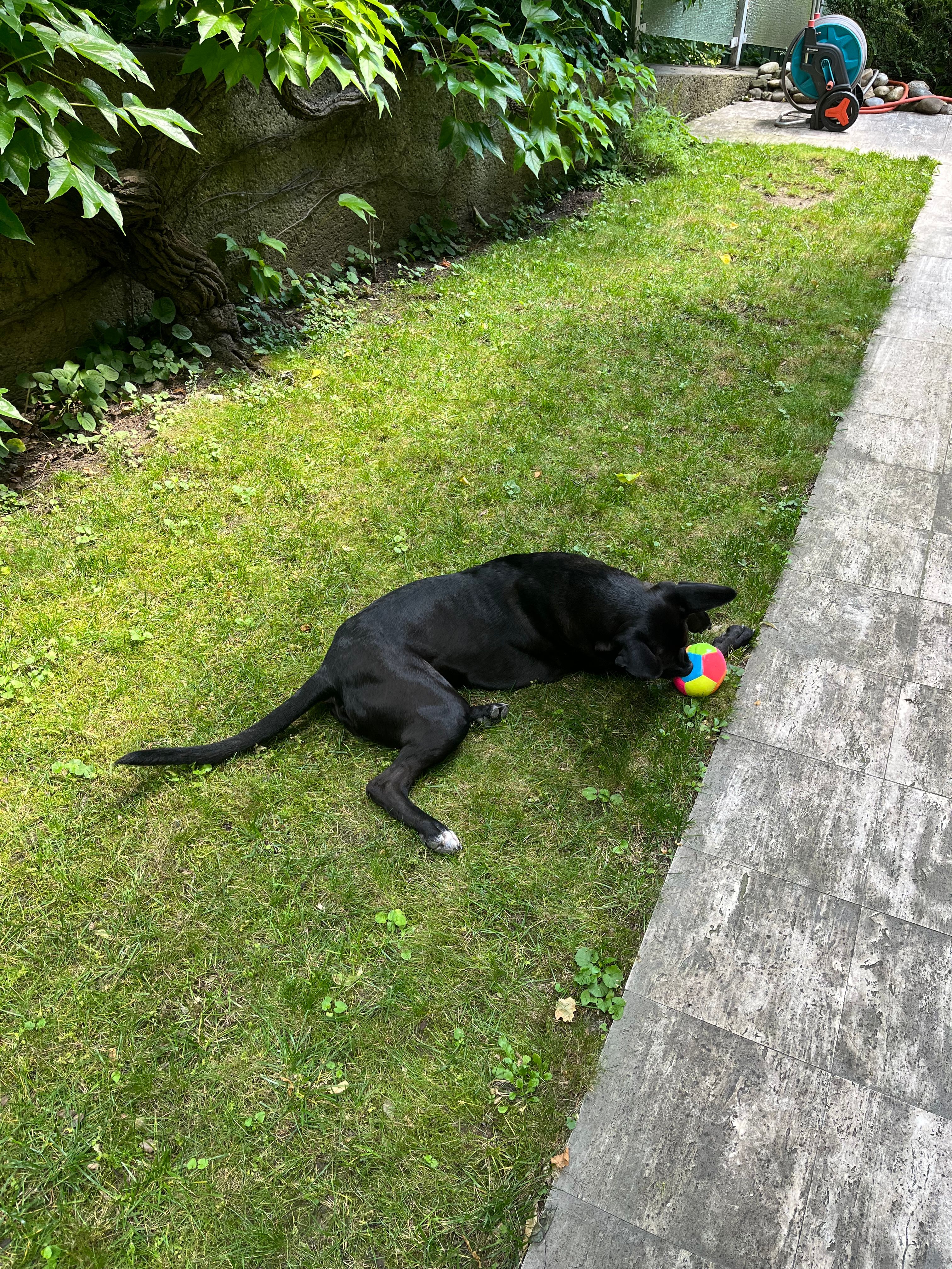 image-28
