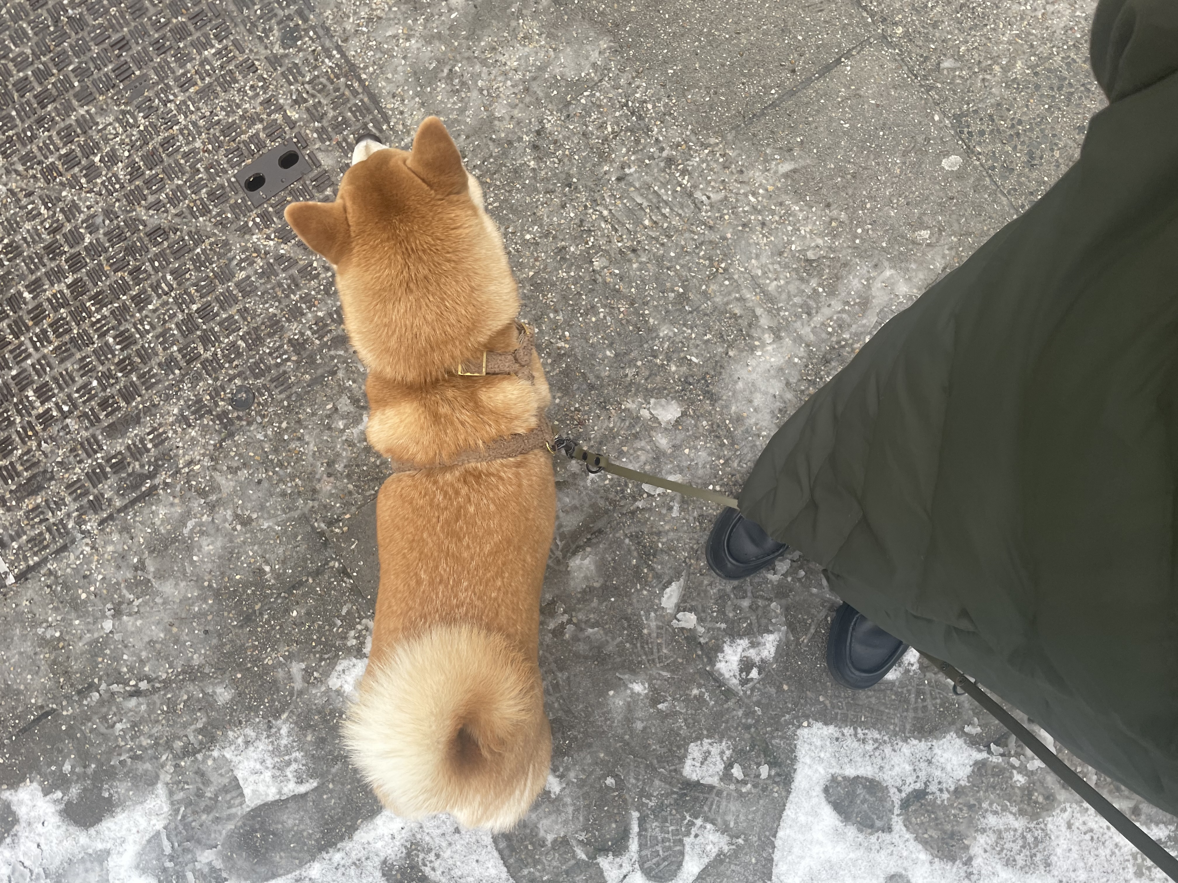 image-6