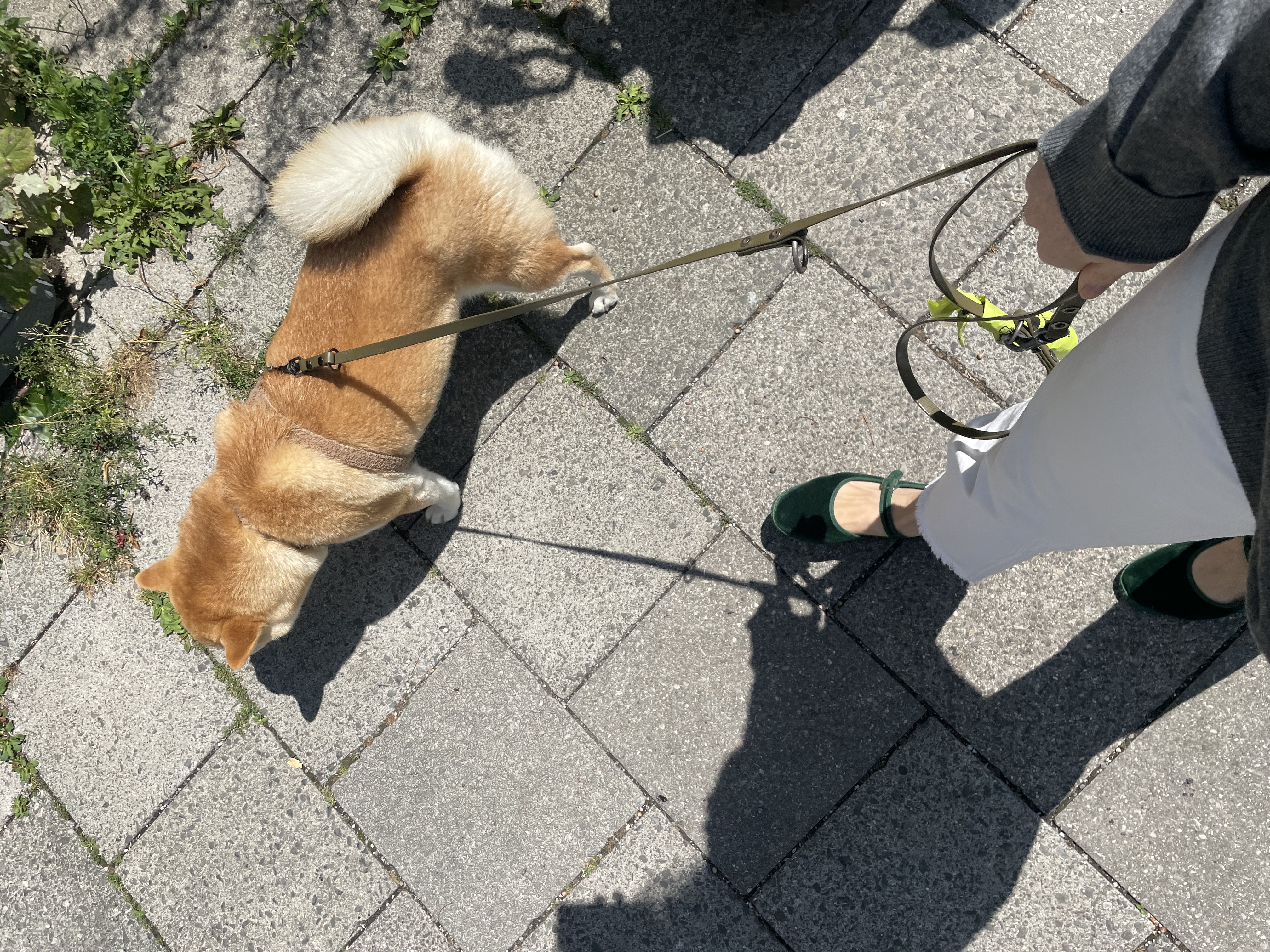 image-5