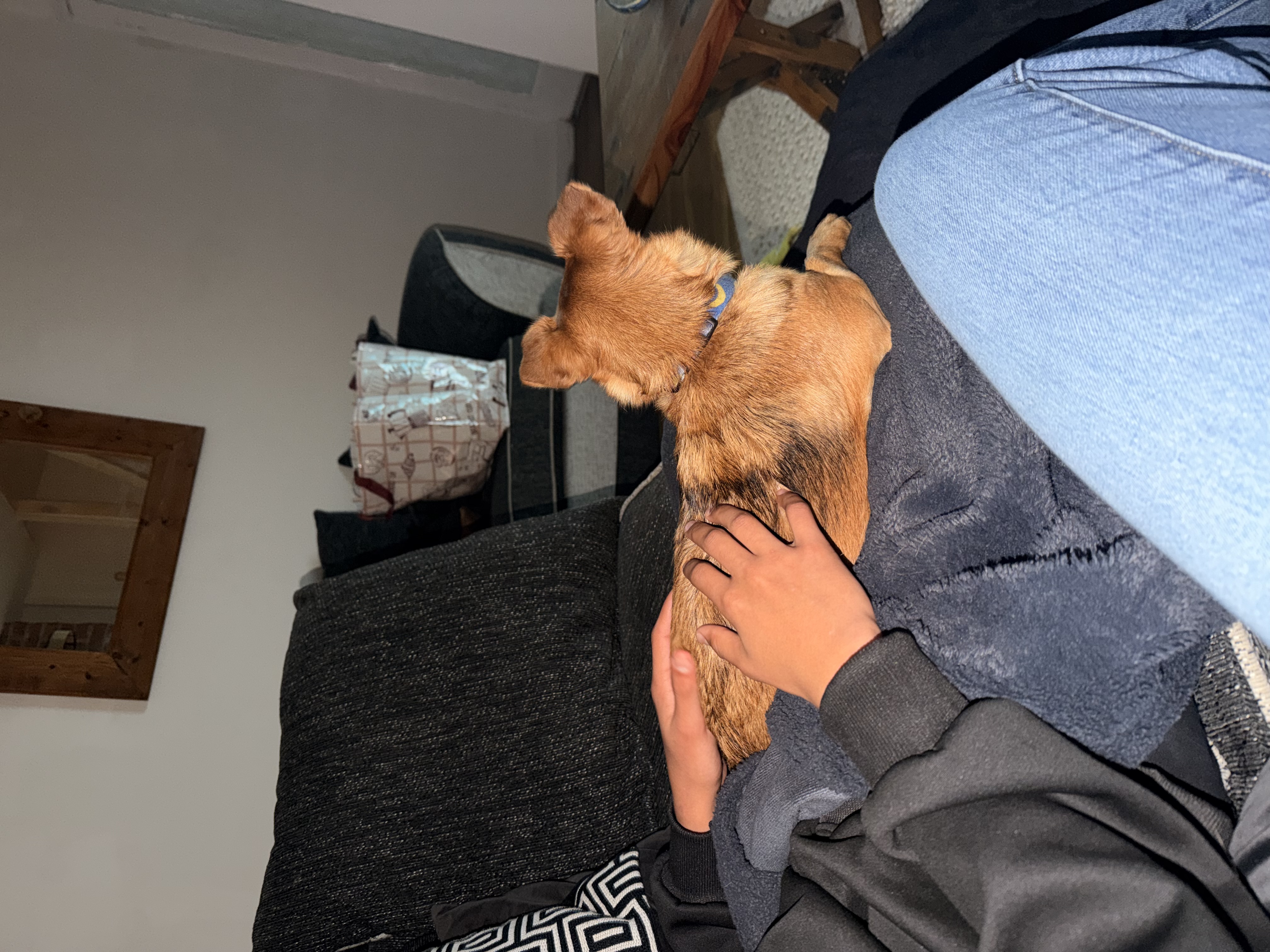image-10