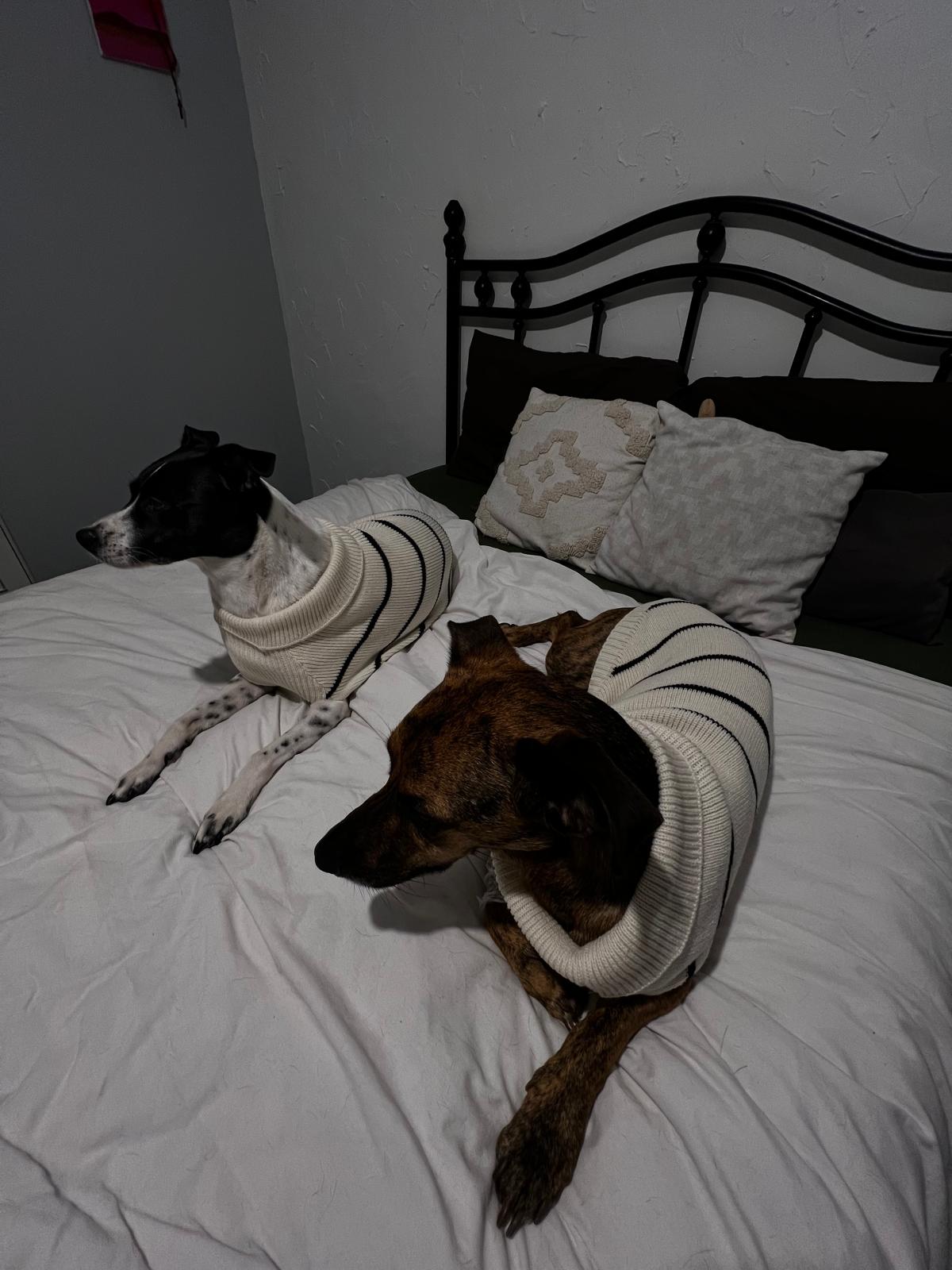 image-8