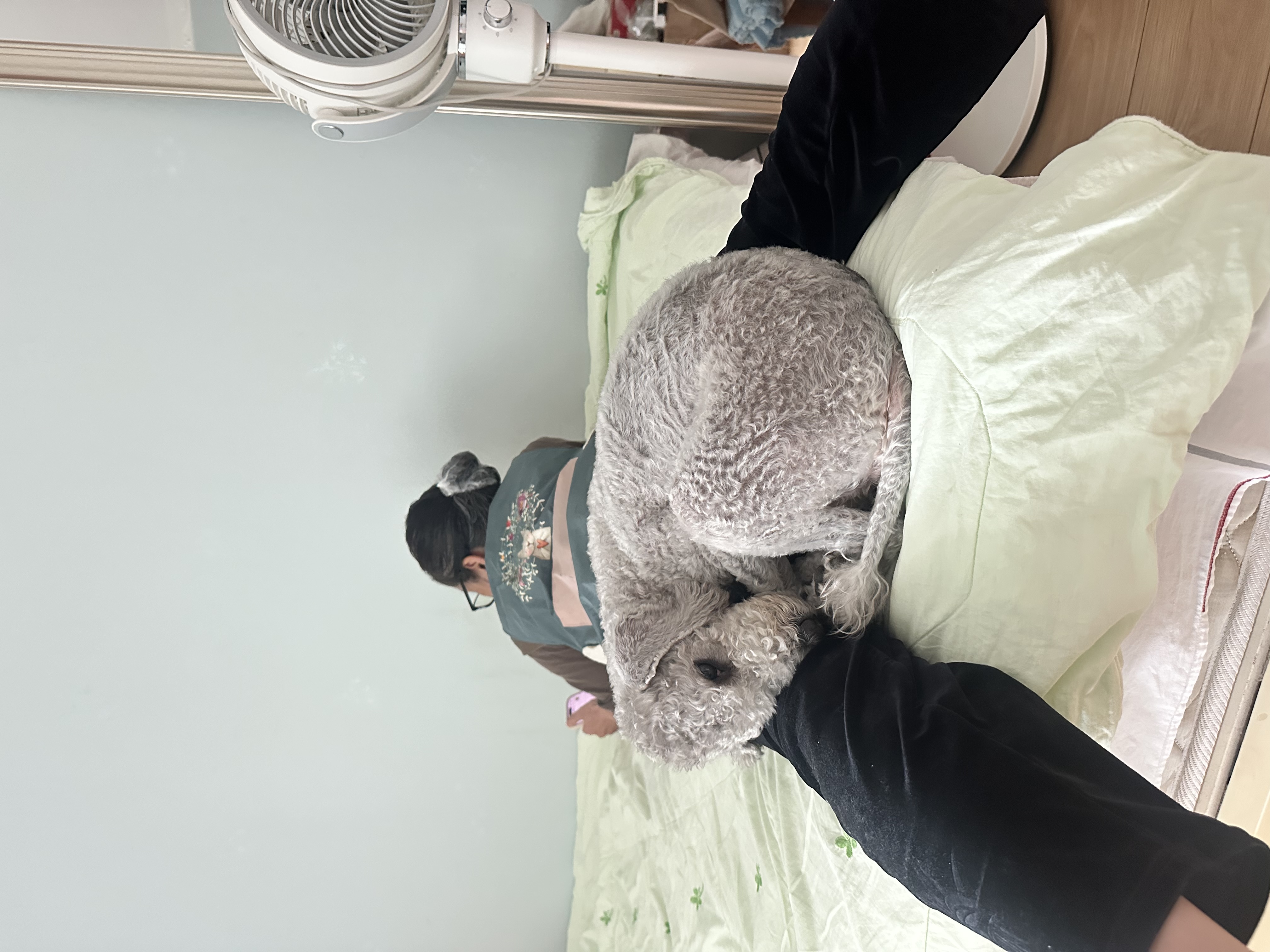 image-2