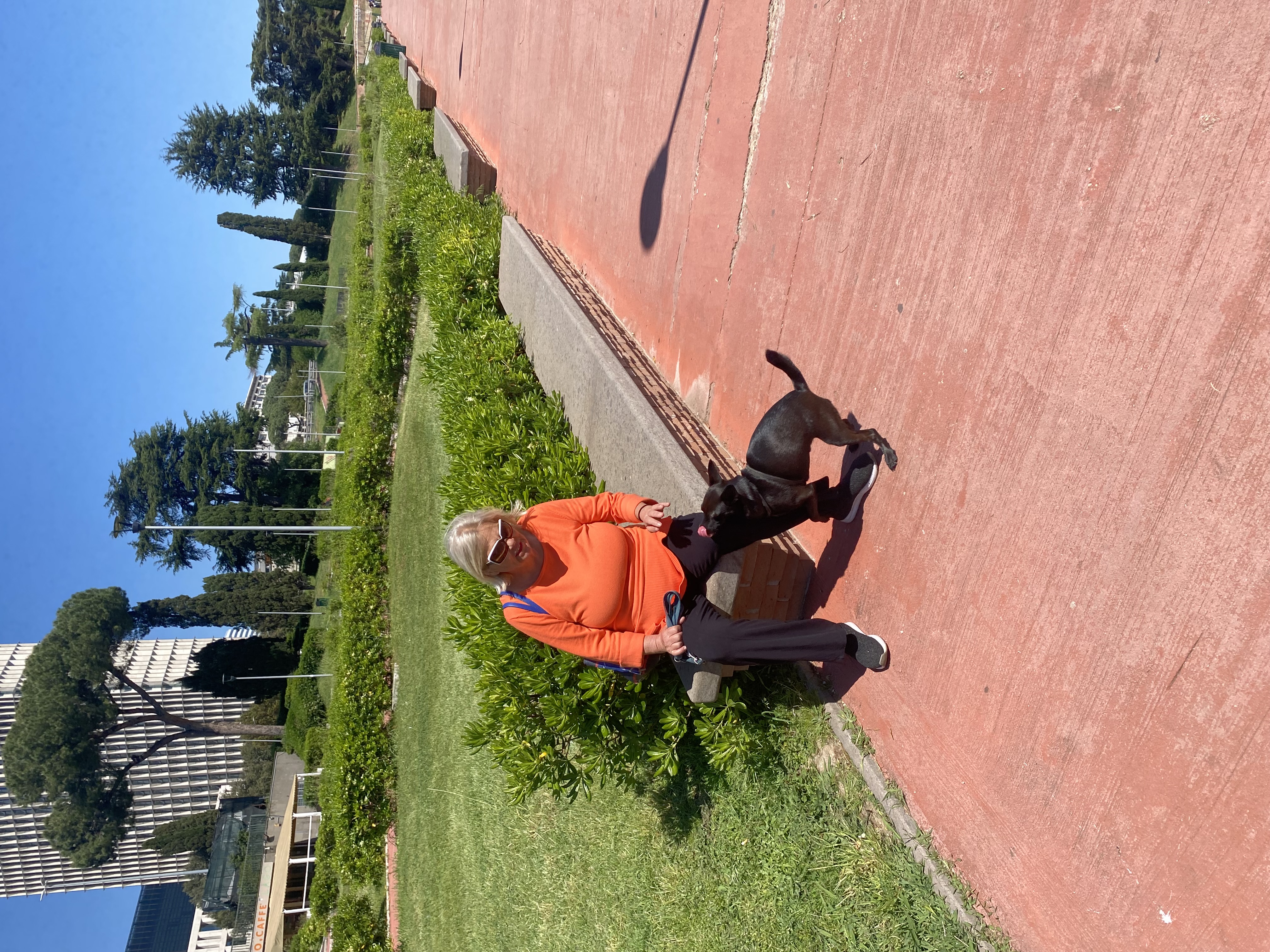 image-4